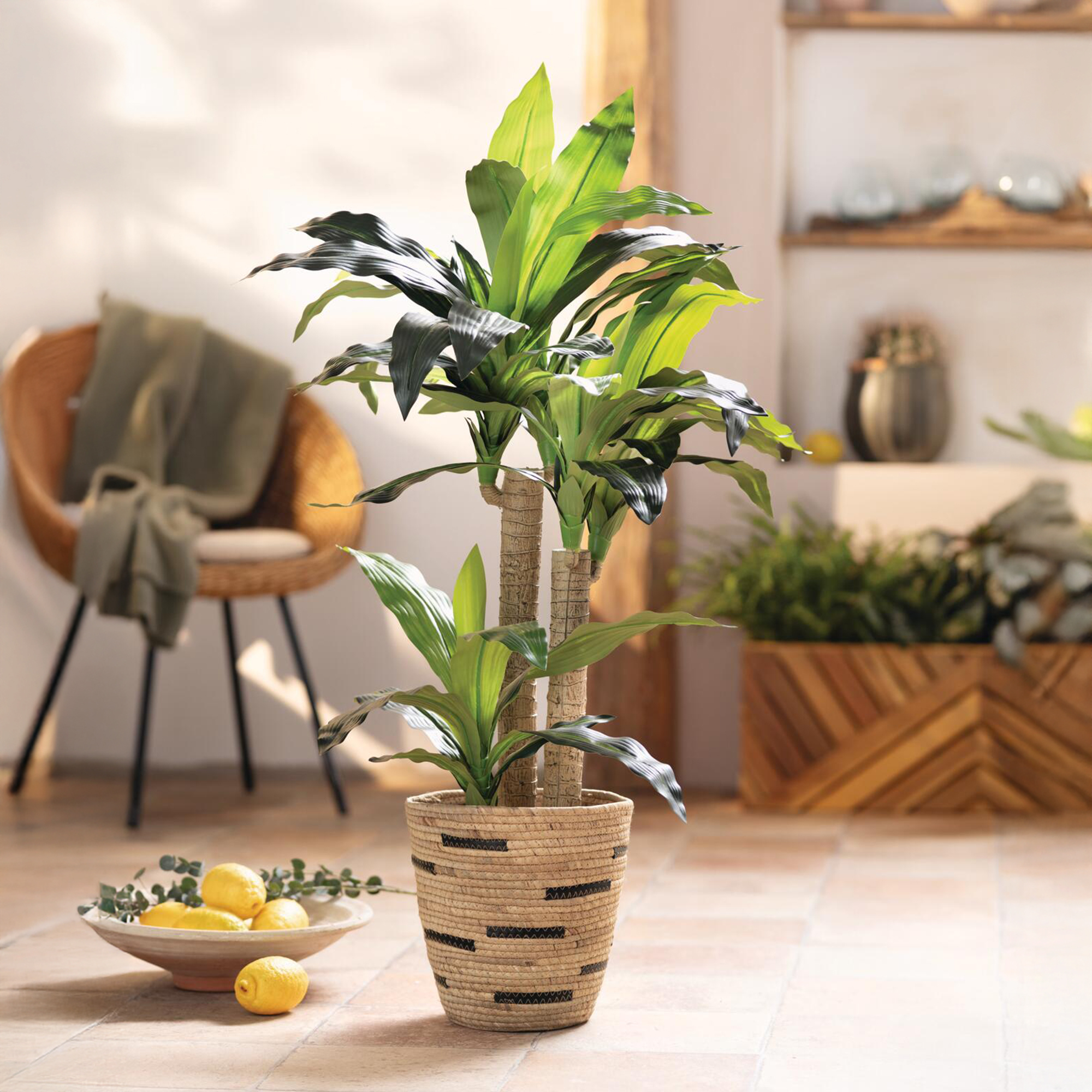 Acheter Plante artificielle "palmier yucca"  dans la boutique en ligne de Frank Flechtwaren