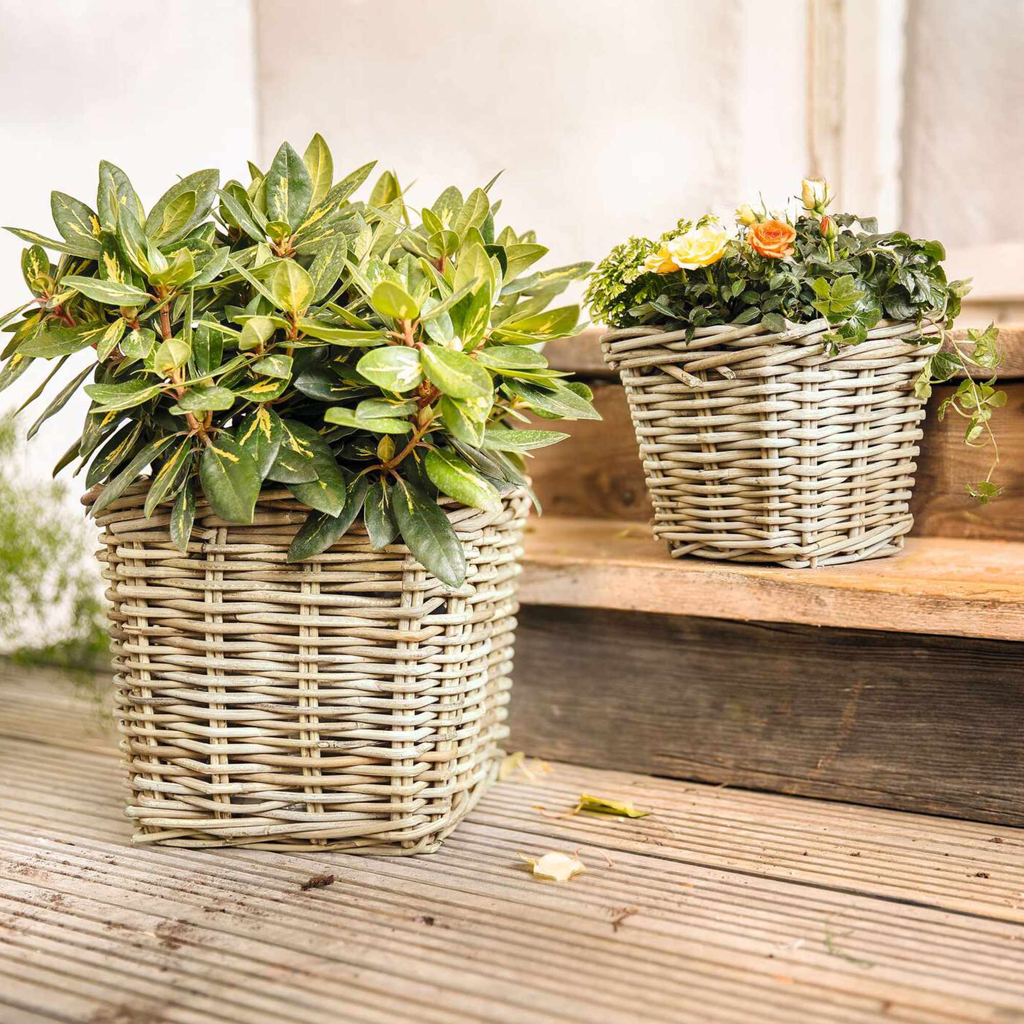 Acheter Jardinière "rotin", GM  dans la boutique en ligne de Frank Flechtwaren