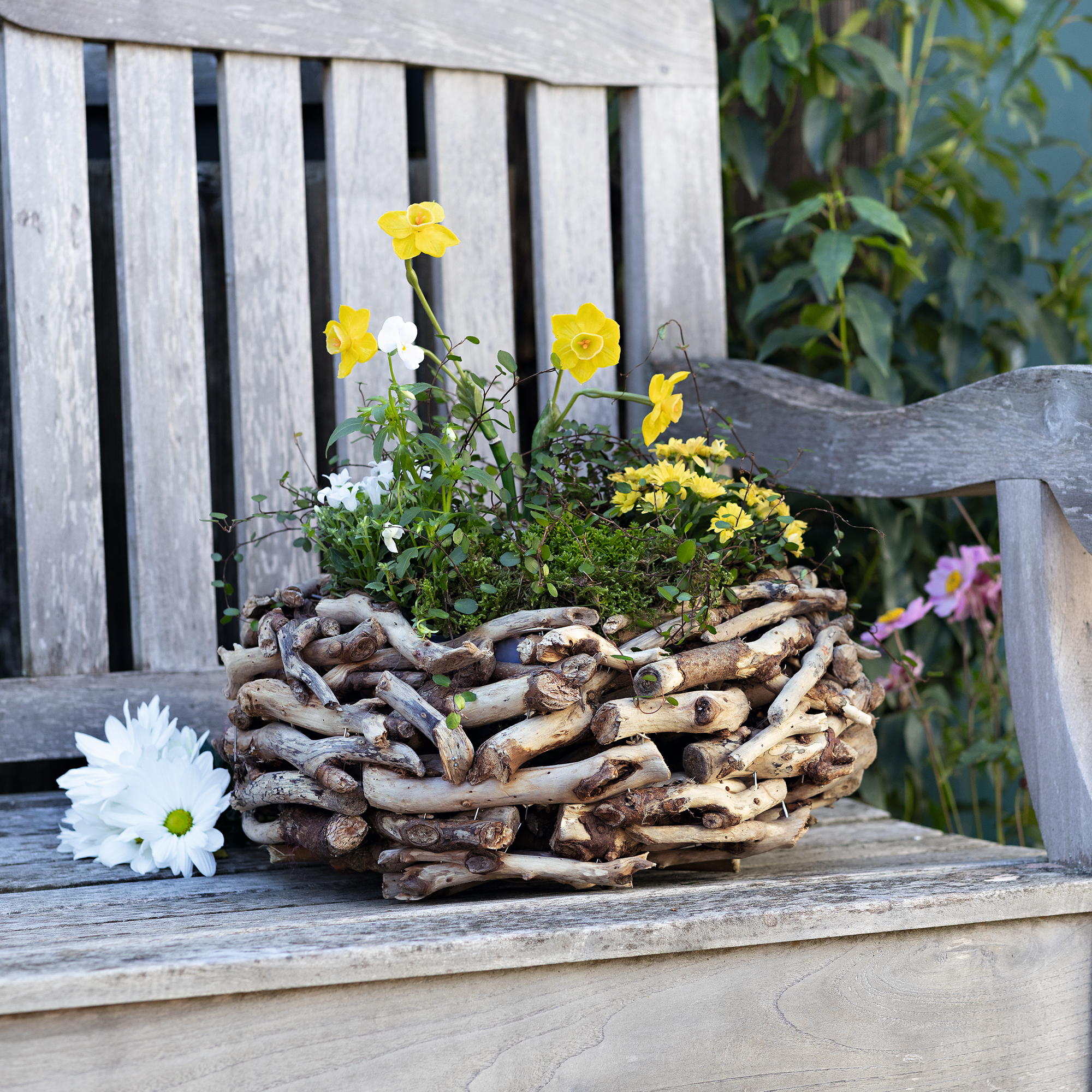 Acheter Jardinière "bois flotté"  dans la boutique en ligne de Frank Flechtwaren