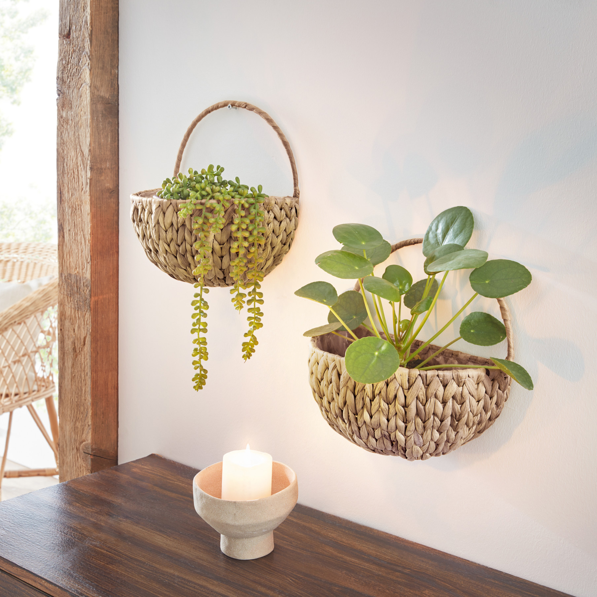 Acheter Jardinière murale " jacinthe d'eau"  dans la boutique en ligne de Frank Flechtwaren