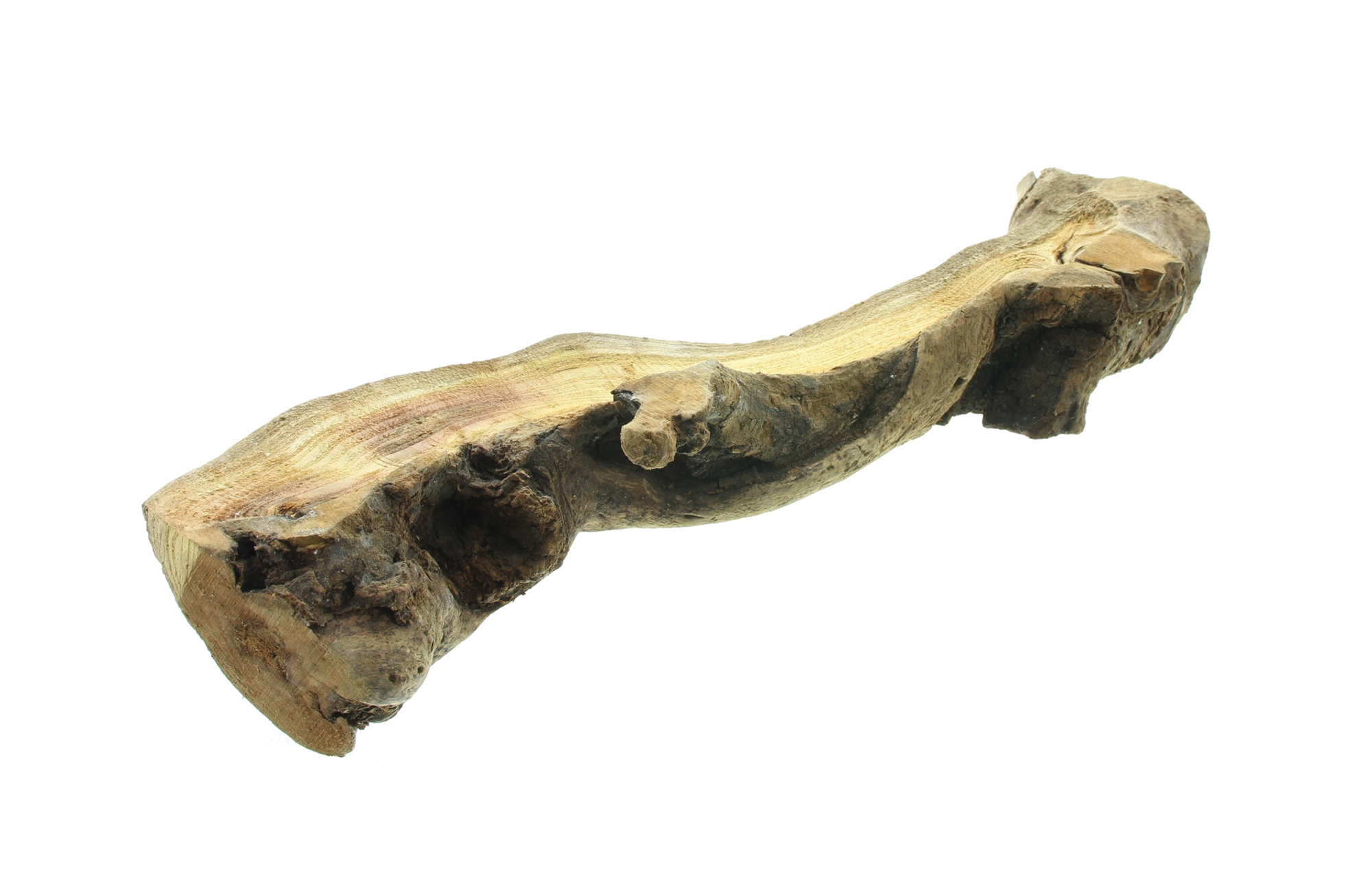 Acheter Racine décorative "Rustic Art"  dans la boutique en ligne de Frank Flechtwaren pour Nouvel arrivage