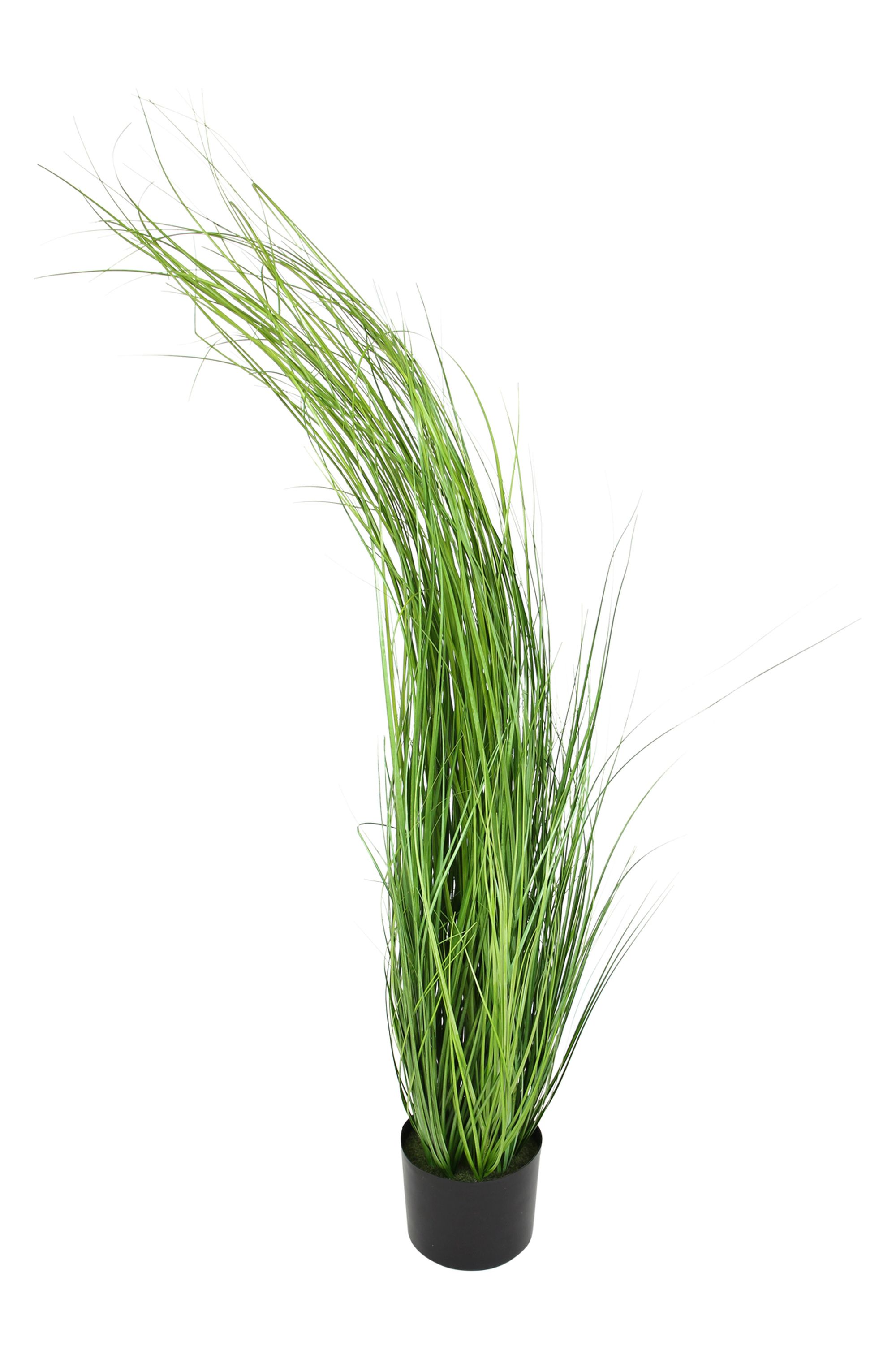 Acheter Plante "herbe"  dans la boutique en ligne de Frank Flechtwaren pour Pâques