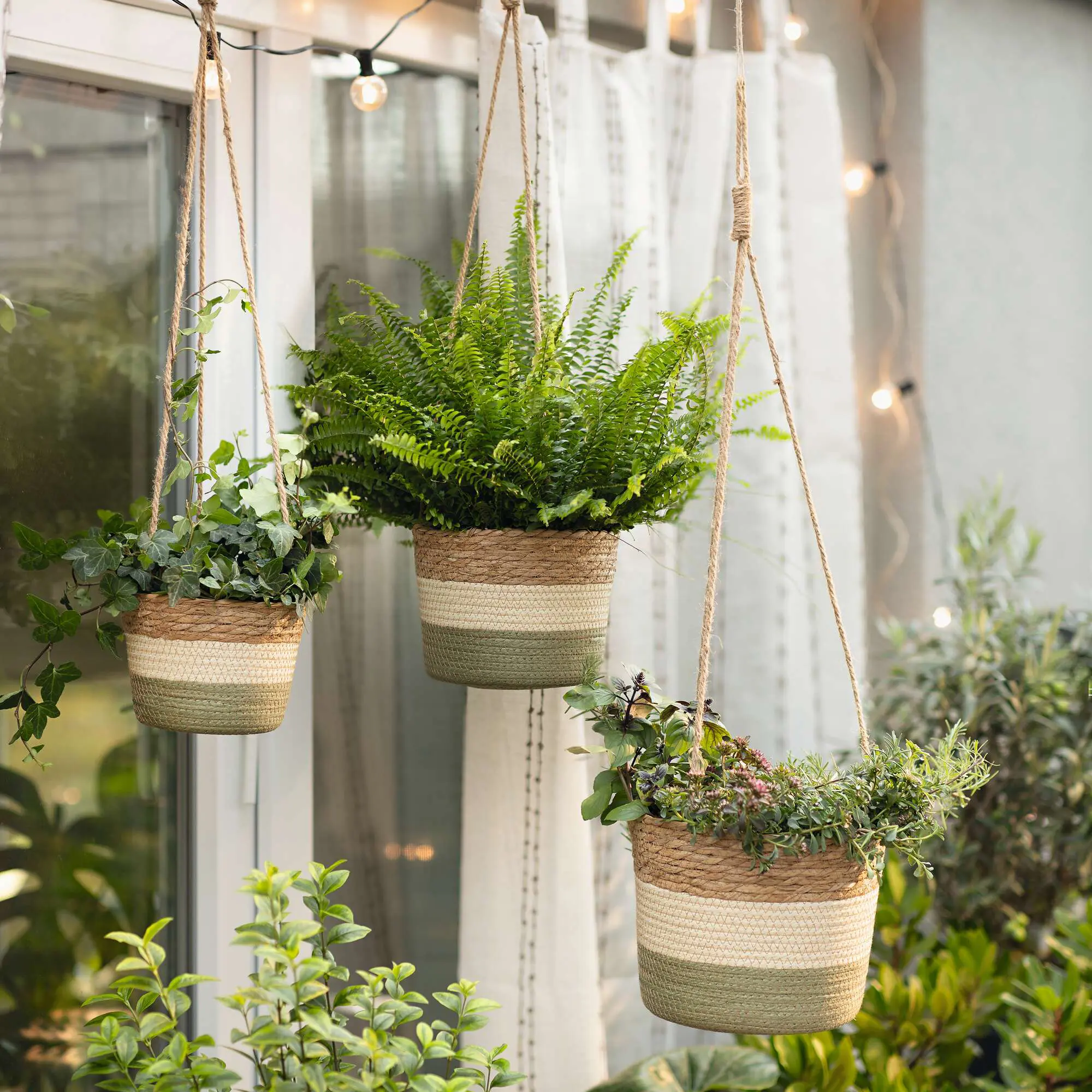 Acheter Lot de 3 jardinières suspendues "naturelles"  dans la boutique en ligne de Frank Flechtwaren