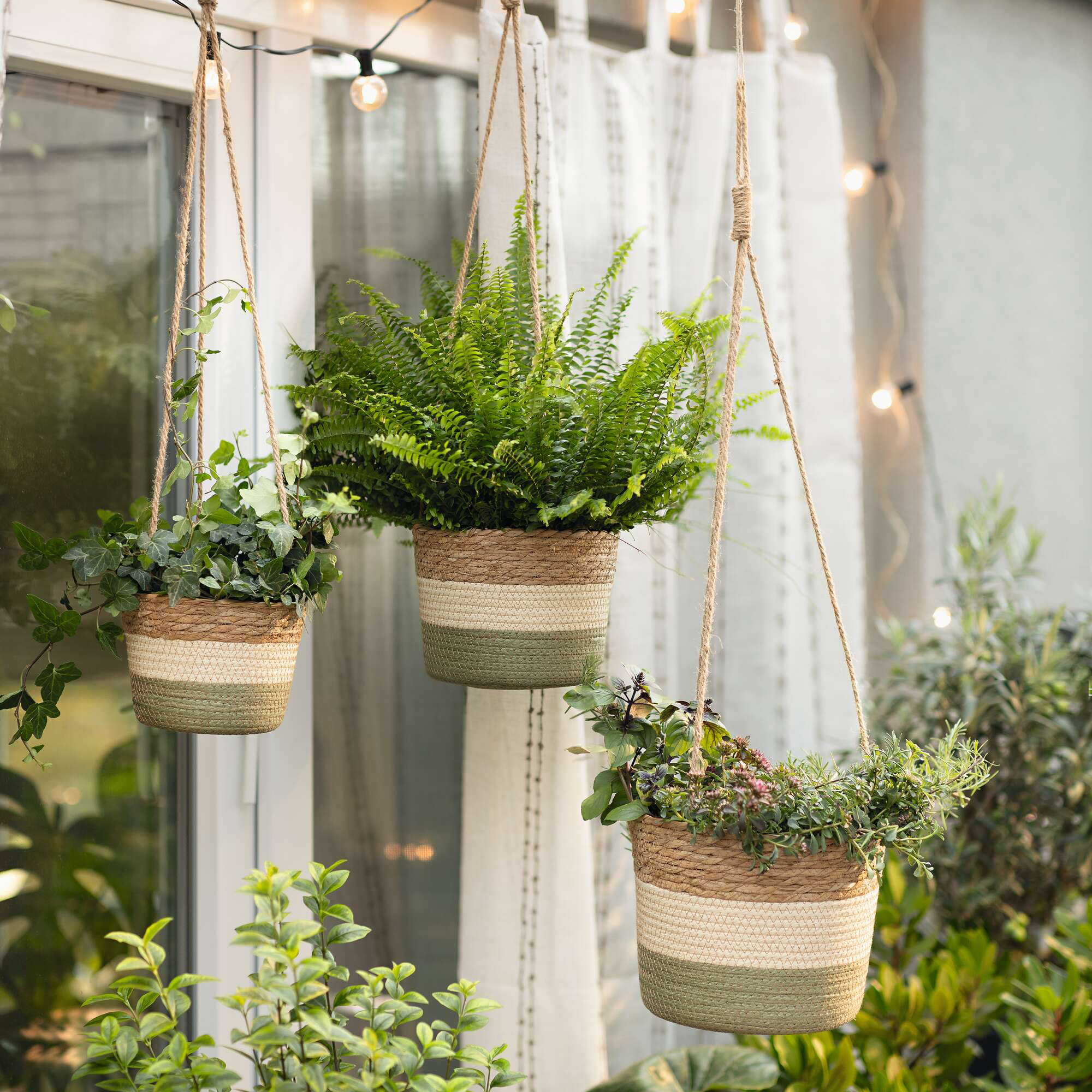 Acheter Lot de 3 jardinières suspendues "naturelles"  dans la boutique en ligne de Frank Flechtwaren