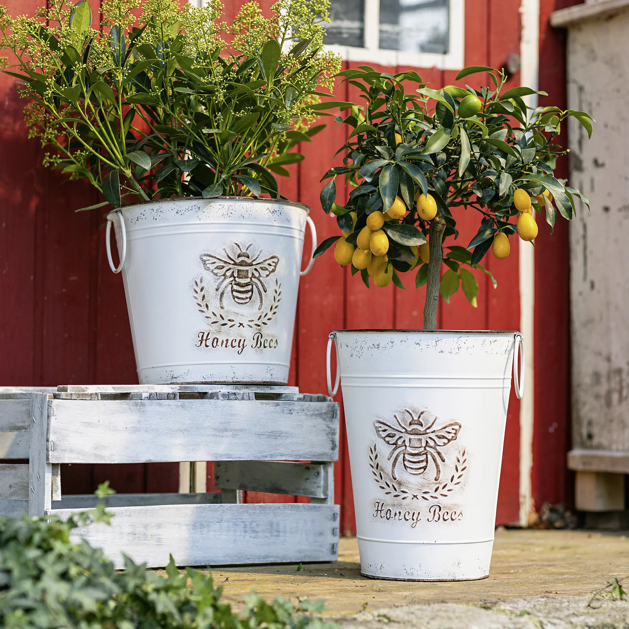 Acheter Seau décoratif "abeille", haut  dans la boutique en ligne de Frank Flechtwaren