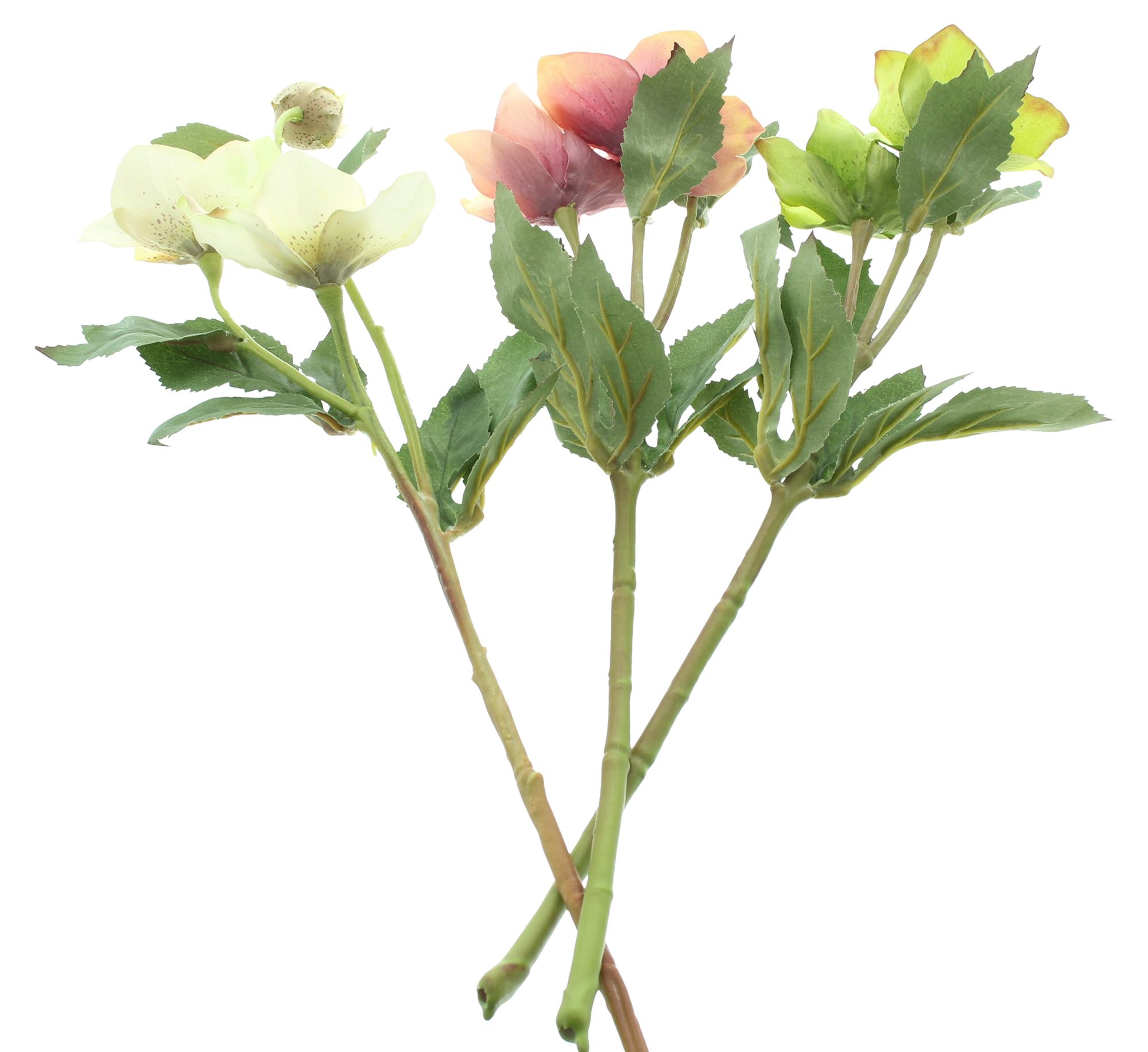Acheter Lot de 3 fleurs artificielles "rose de Noël"  dans la boutique en ligne de Frank Flechtwaren pour Noël