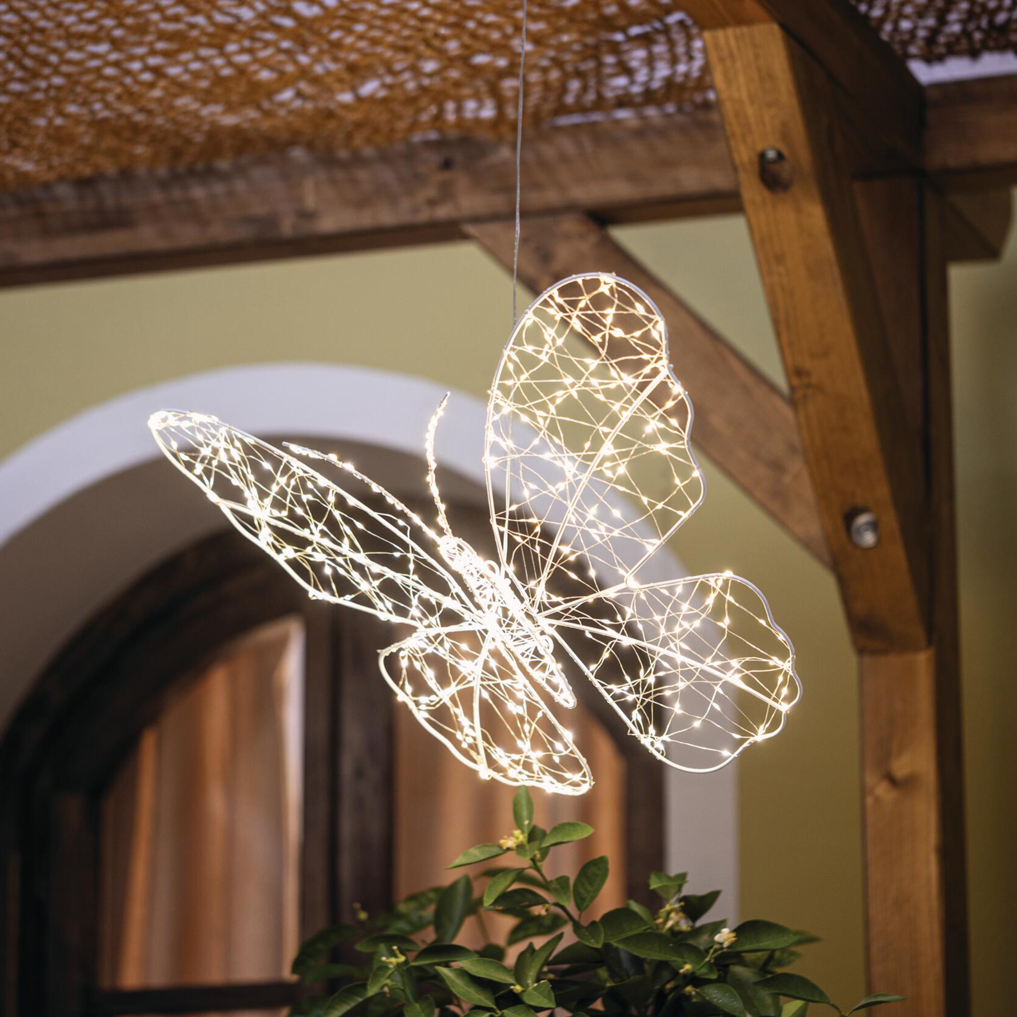 Acheter Papillon LED "Shine"  dans la boutique en ligne de Frank Flechtwaren