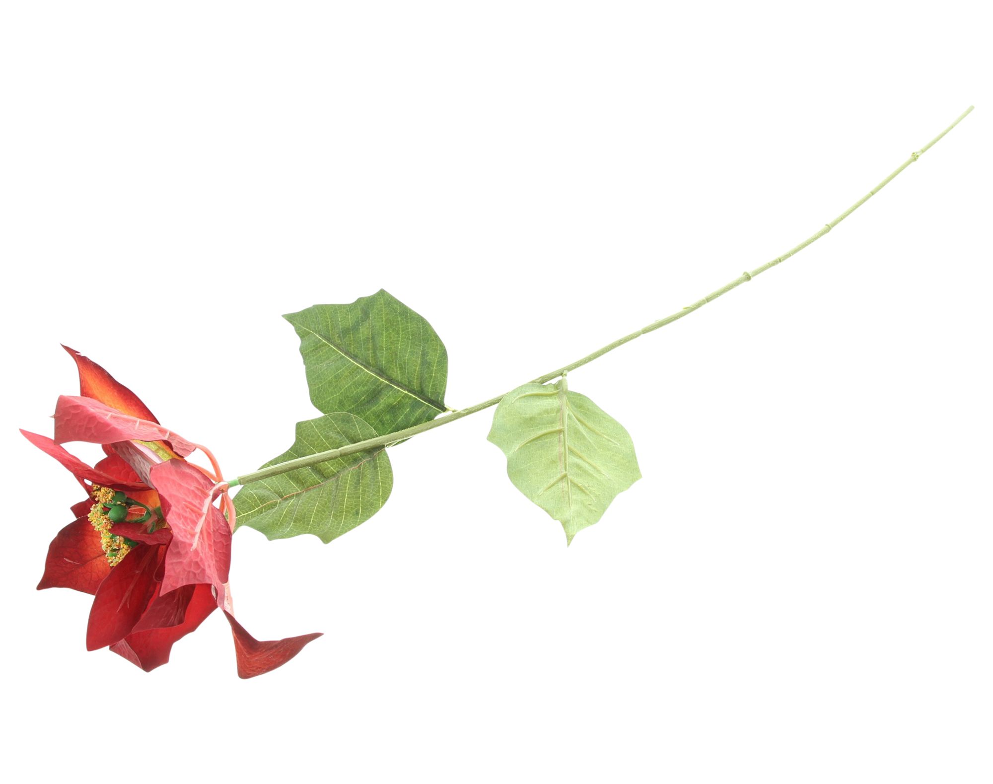 Acheter Lot de 2 fleurs artificielles "poinsettia"  dans la boutique en ligne de Frank Flechtwaren pour Noël