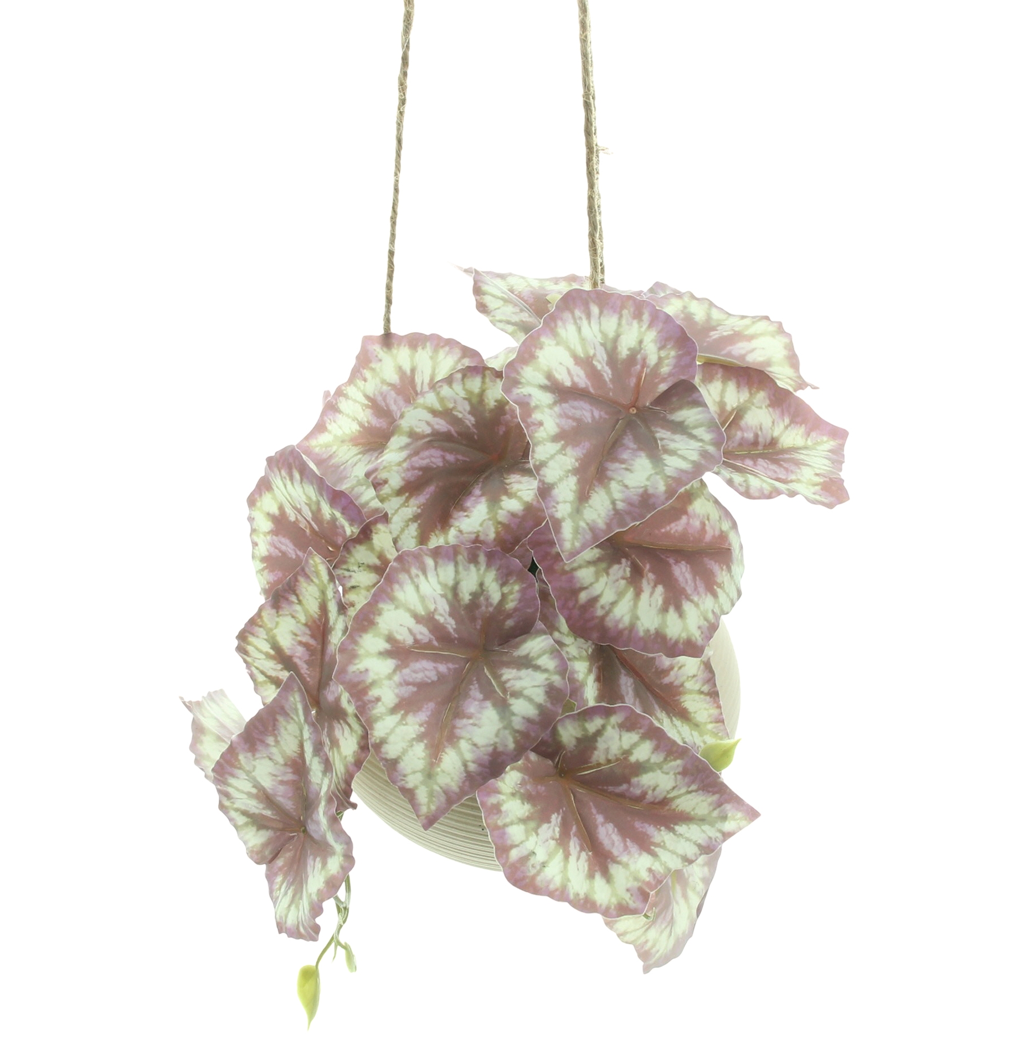 Acheter Plante artificielle dans son pot suspendu  dans la boutique en ligne de Frank Flechtwaren pour Nouvel arrivage