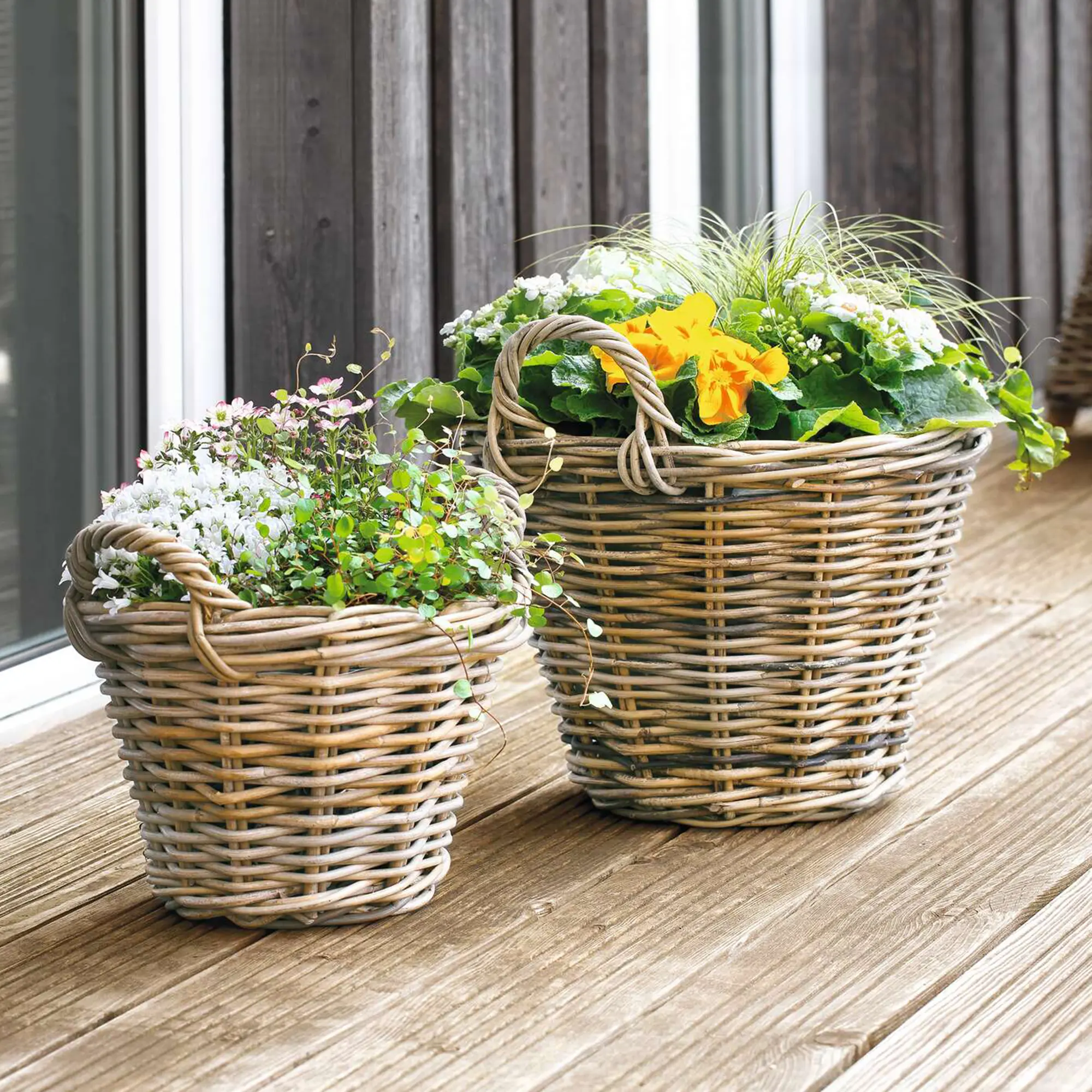 Acheter Panier à plantes "rotin", PM  dans la boutique en ligne de Frank Flechtwaren