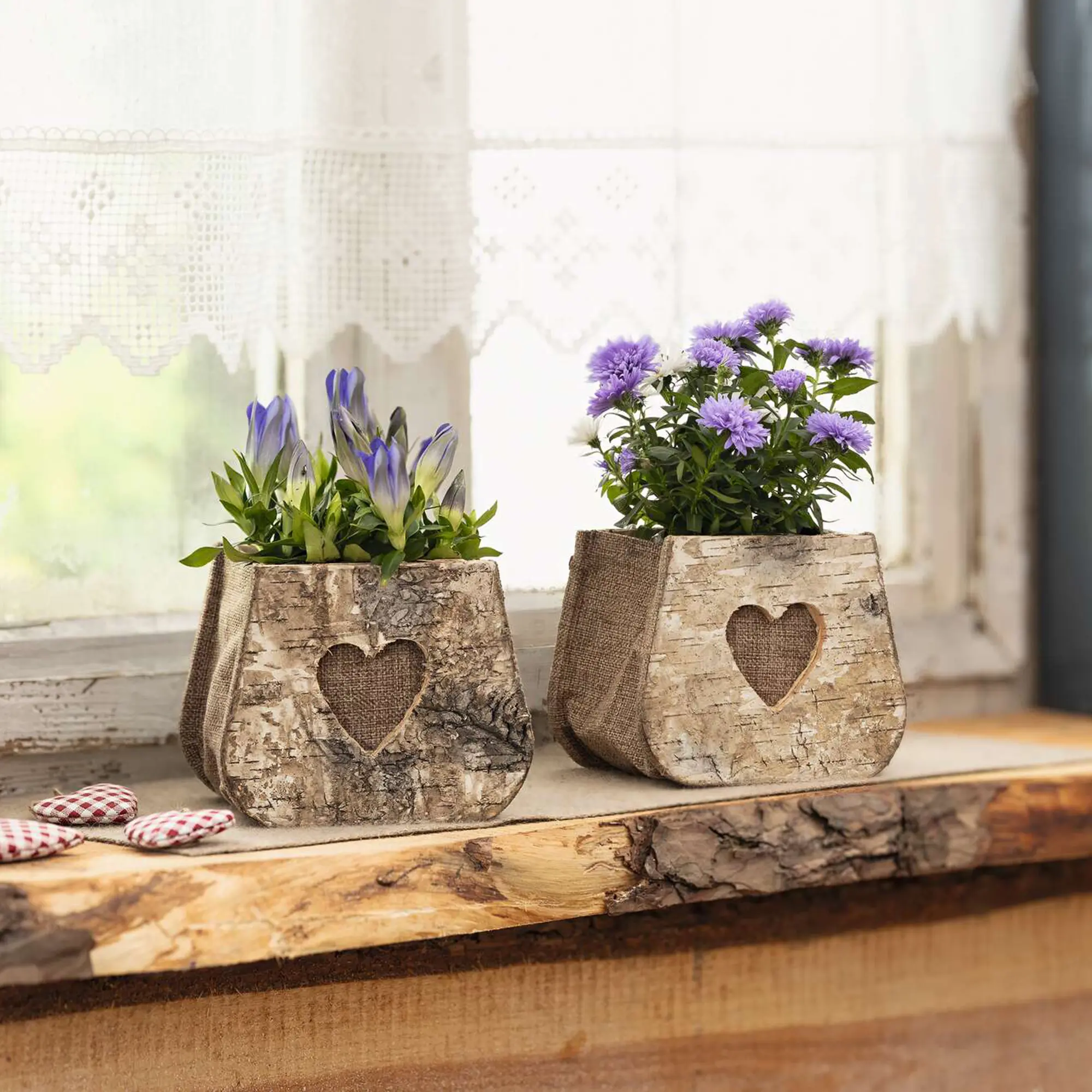 Acheter Lot de 2 sacs à plantes "coeur de bouleau"  dans la boutique en ligne de Frank Flechtwaren
