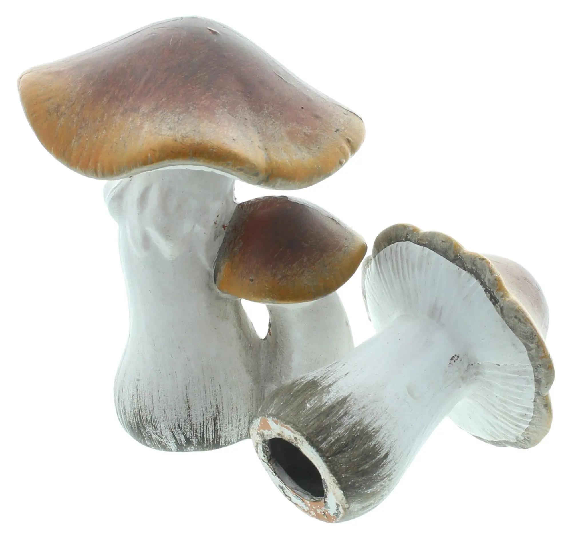 Acheter Champignon décoratif « Brownie », lot de 2 dans la boutique en ligne de Frank Flechtwaren pour Champignons