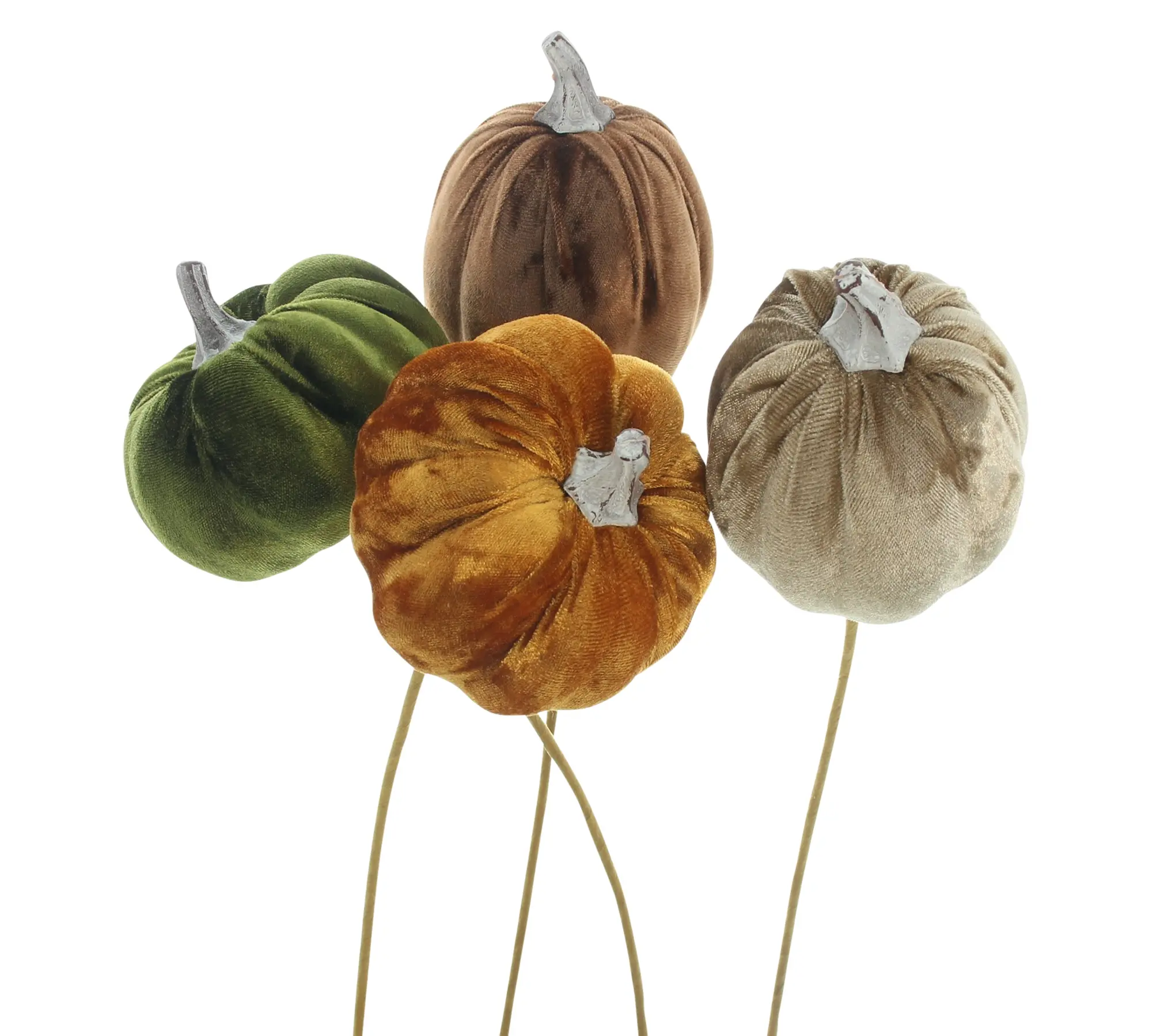 Acheter Lot de 4 pics "citrouille velours"  dans la boutique en ligne de Frank Flechtwaren pour Citrouilles