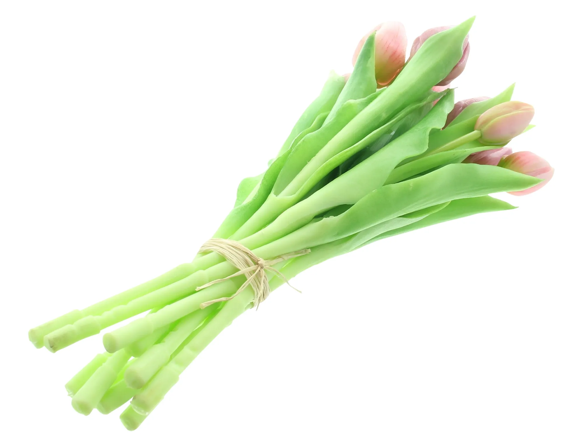 Acheter Lot de 14 tulipes "rose &amp; violet"  dans la boutique en ligne de Frank Flechtwaren pour Pâques colorée