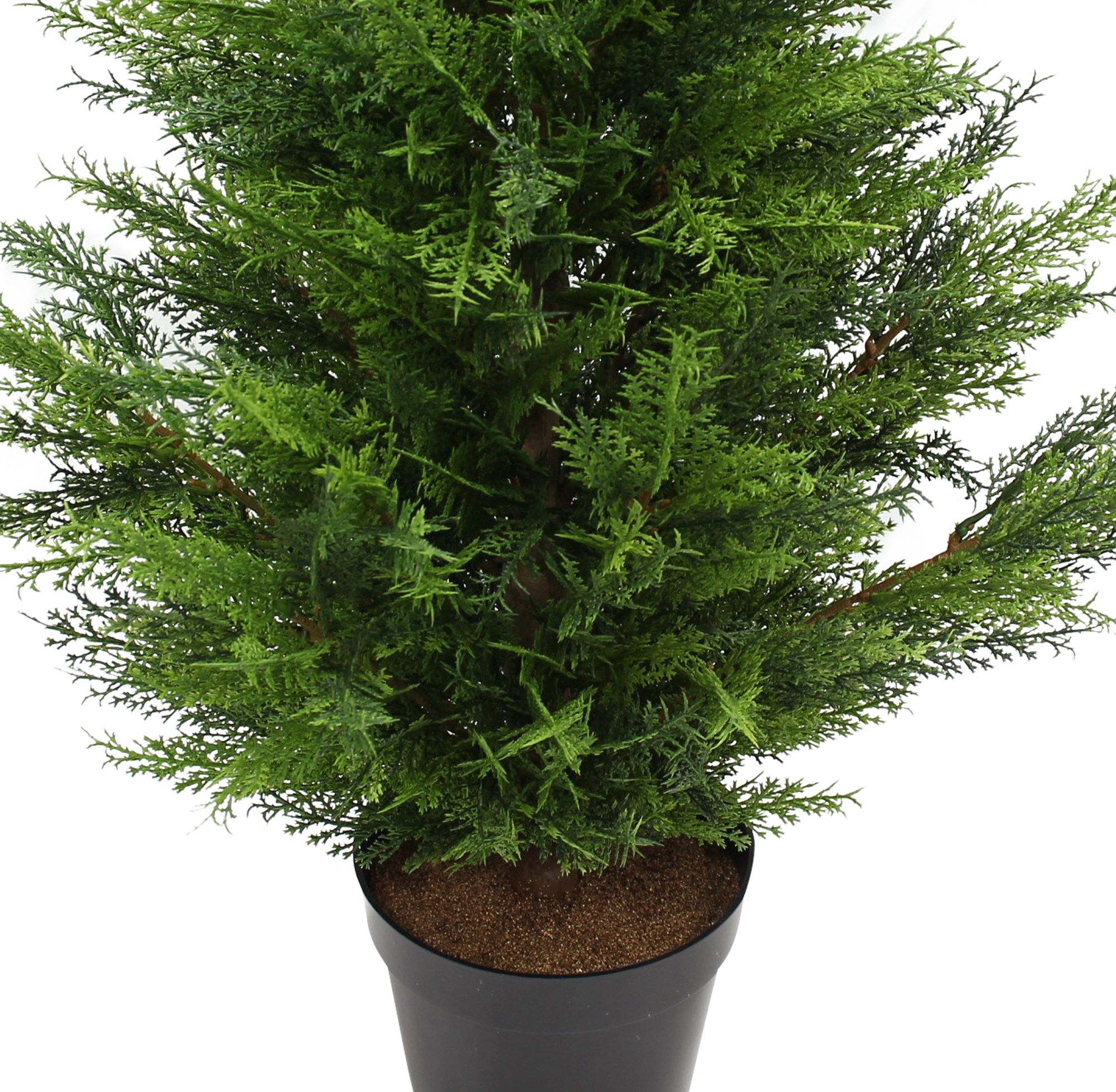 Acheter Plante artificielle "Conifère"  dans la boutique en ligne de Frank Flechtwaren pour Plantes artificielles