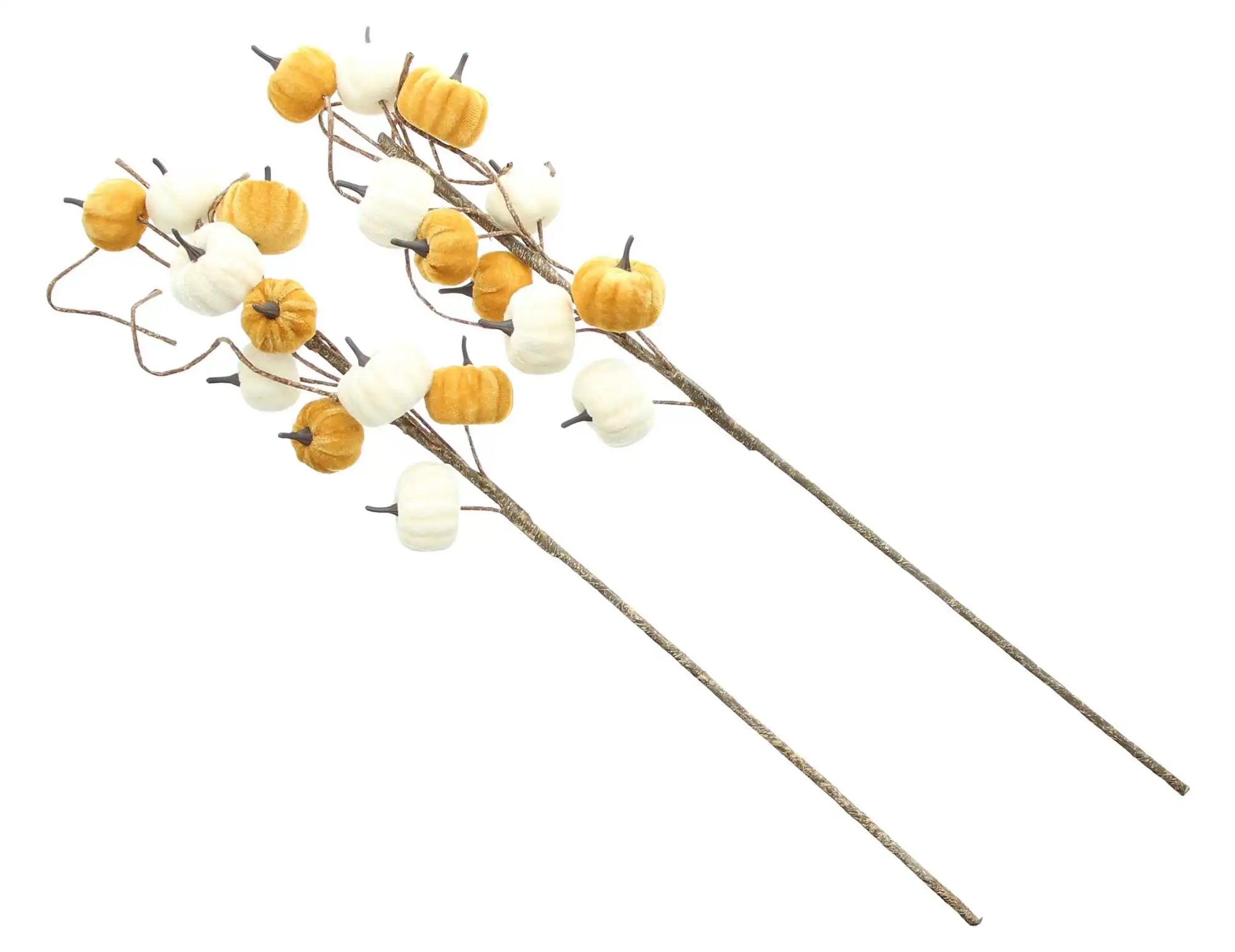 Acheter Lot de 2 branches "citrouilles"  dans la boutique en ligne de Frank Flechtwaren pour Couronnes d'automne &amp; arrangements 