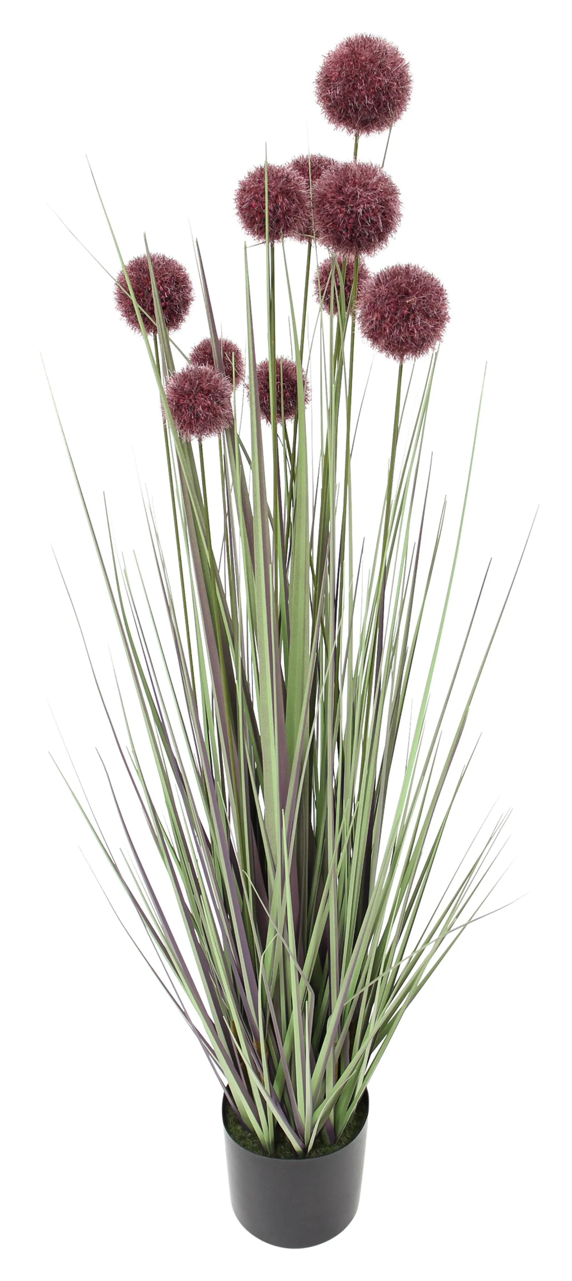 Acheter Plante en pot "Allium"  dans la boutique en ligne de Frank Flechtwaren pour Plantes artificielles