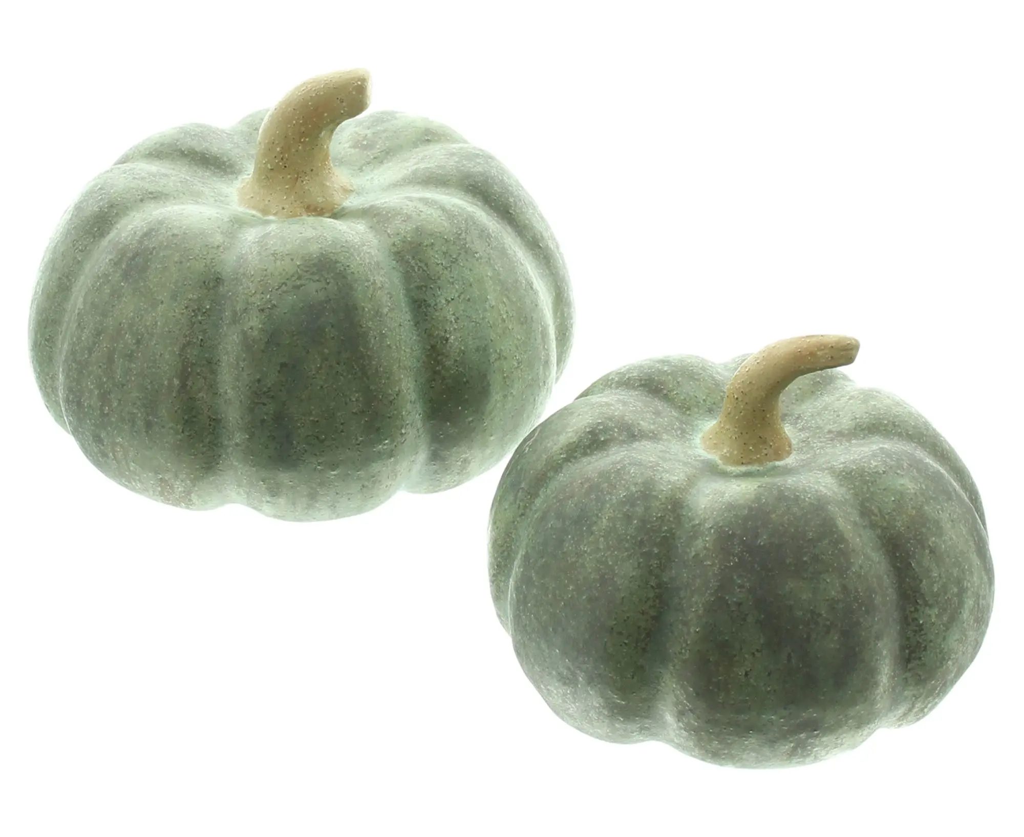 Acheter Courge décorative « Antik Green », lot de 2 dans la boutique en ligne de Frank Flechtwaren