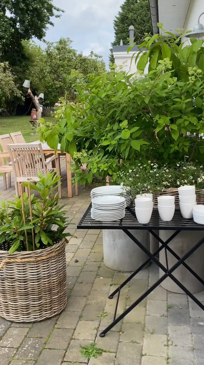 Panier à plantes : panier en osier tressé avec une plante verte, pour une décoration naturelle de terrasse