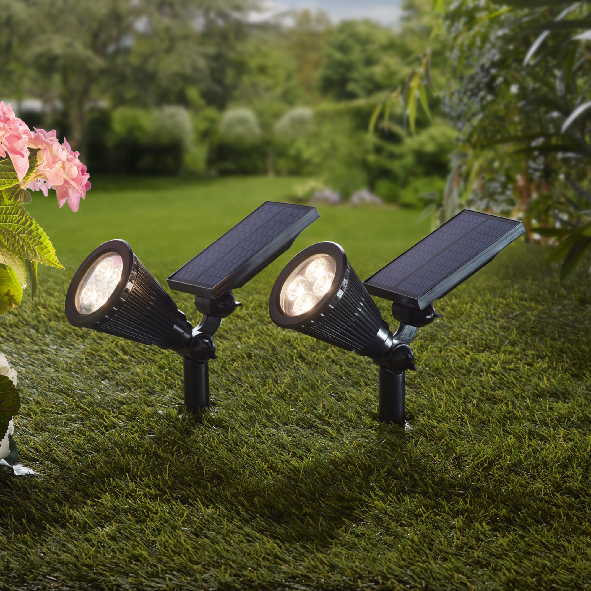Acheter Spot LED solaire "Spotlight"  dans la boutique en ligne de Frank Flechtwaren pour Luminaires de jardin