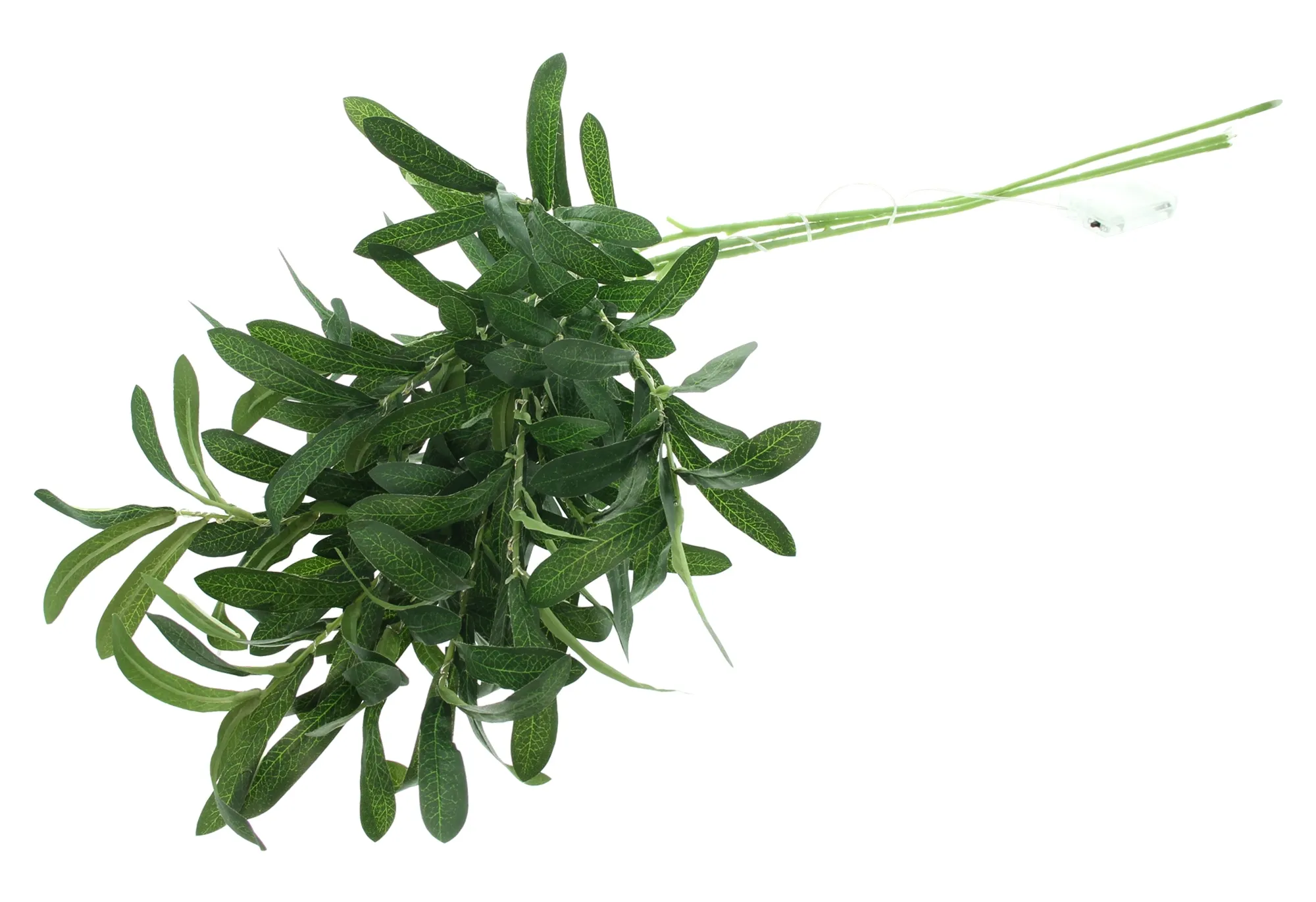 Acheter Branches LED "Olive"  dans la boutique en ligne de Frank Flechtwaren pour Nature et vert