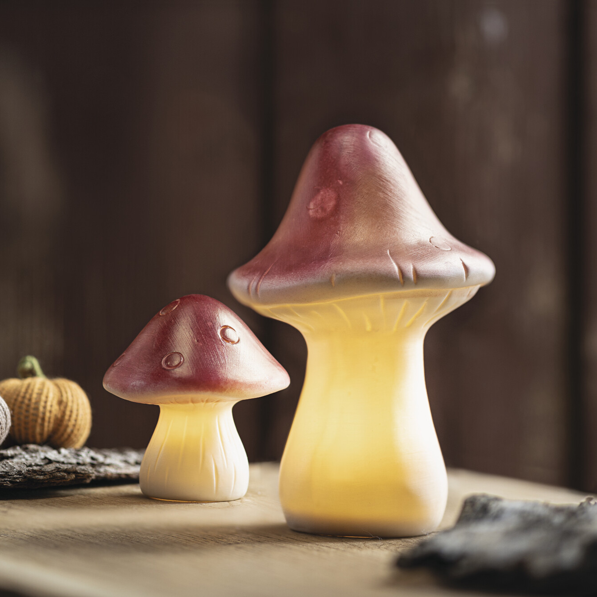 Acheter Lot de 2 décorations LED "champignon"  dans la boutique en ligne de Frank Flechtwaren