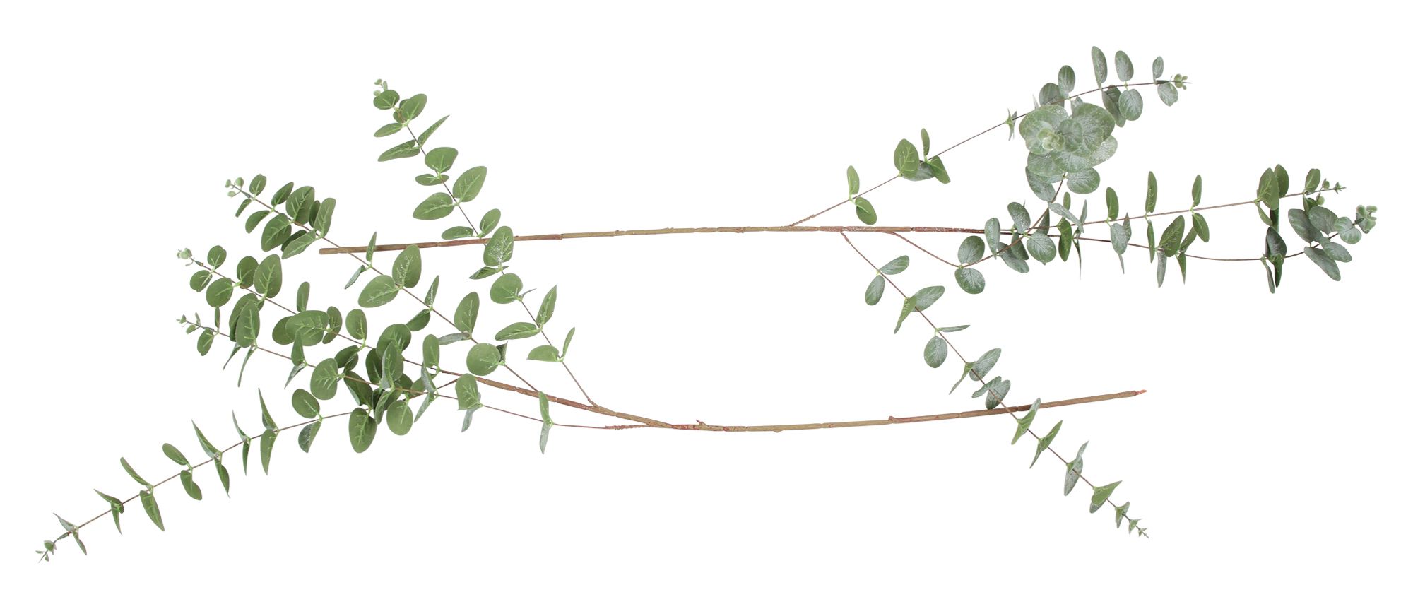 Acheter Lot de 2 branches "eucalyptus"  dans la boutique en ligne de Frank Flechtwaren pour Pâques