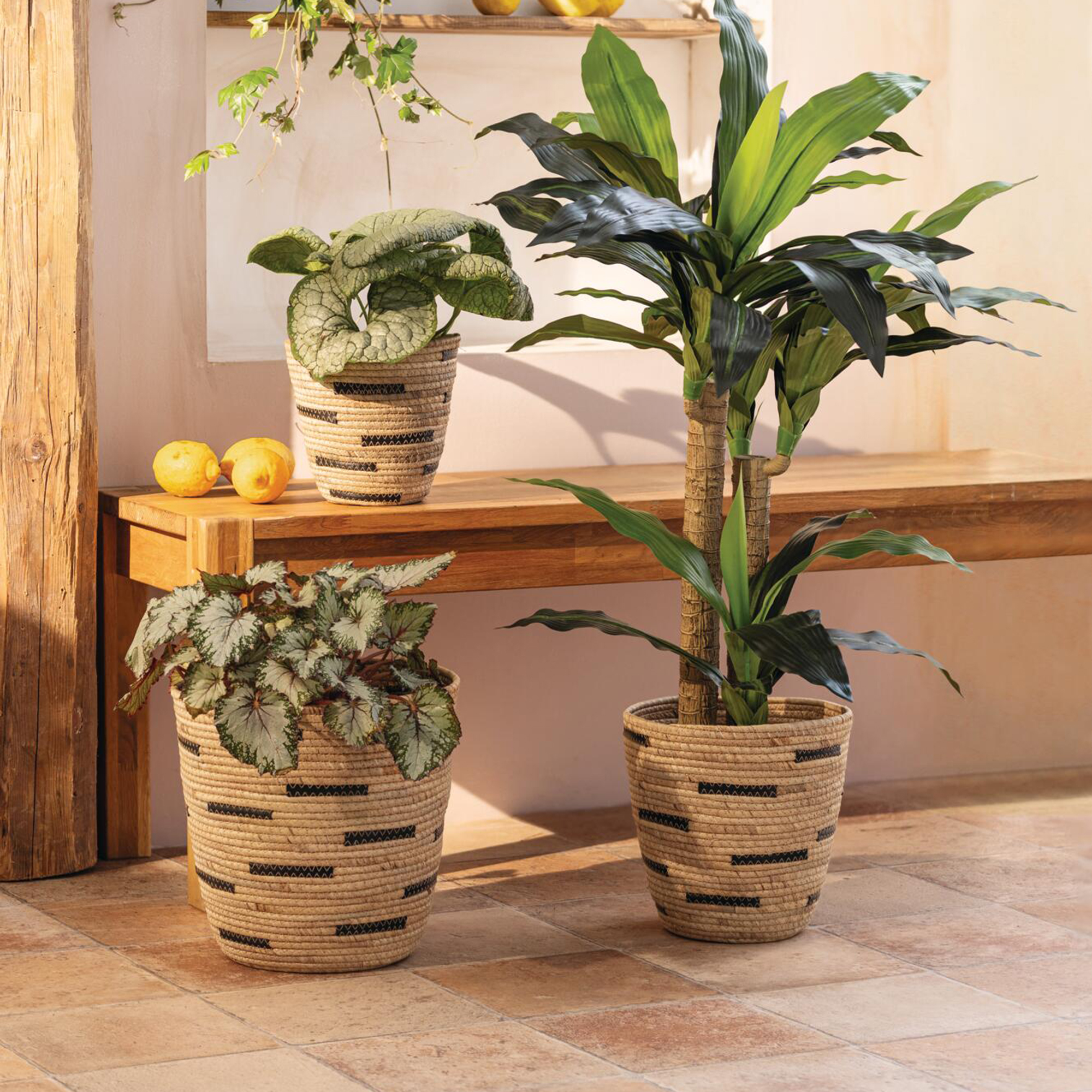 Acheter Lot de 3 paniers de remplissage "Adria"  dans la boutique en ligne de Frank Flechtwaren