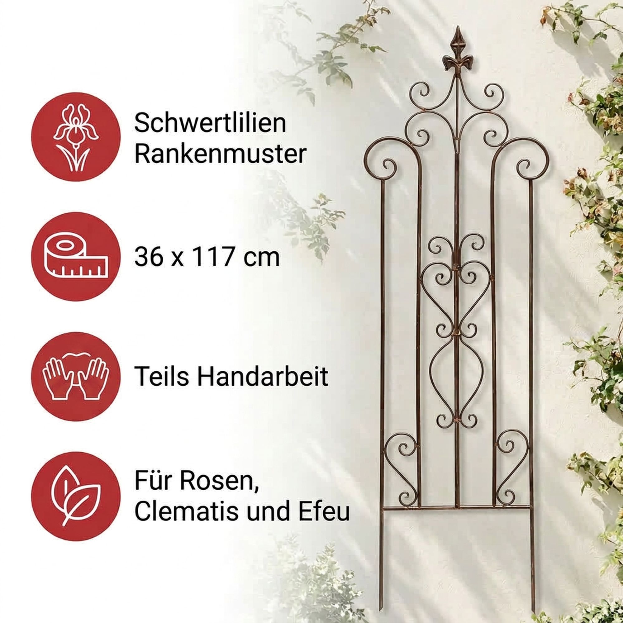 Acheter Treillage "fleur de lys"  dans la boutique en ligne de Frank Flechtwaren pour Aménagement de parterres