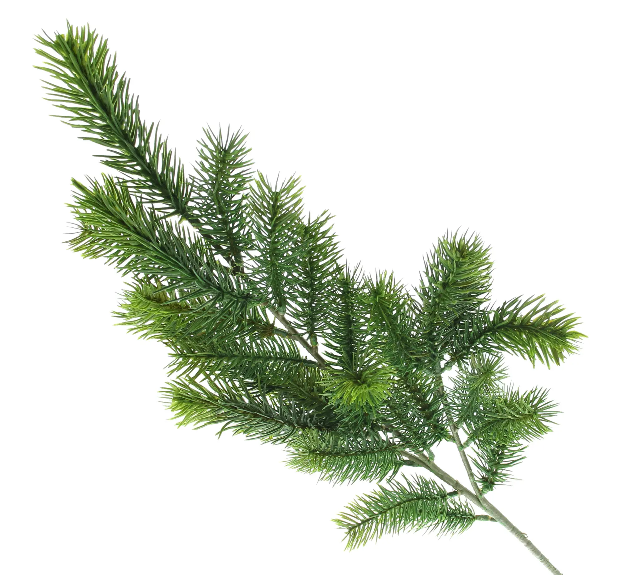 Acheter Kunstzweig "Edeltanne" dans la boutique en ligne de Frank Flechtwaren pour Noël Acheter Kunstzweig "Edeltanne" dans la boutique en ligne de Frank Flechtwaren pour Noël