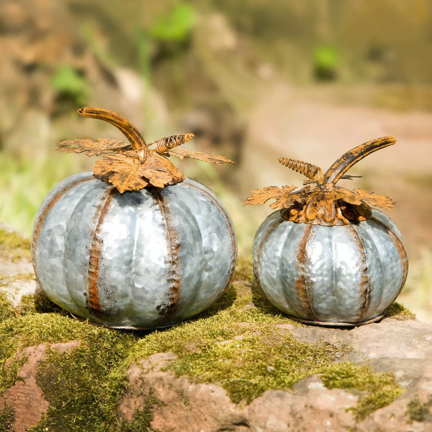 Acheter Lot de 2 citrouilles "feuilles rouillées"  dans la boutique en ligne de Frank Flechtwaren