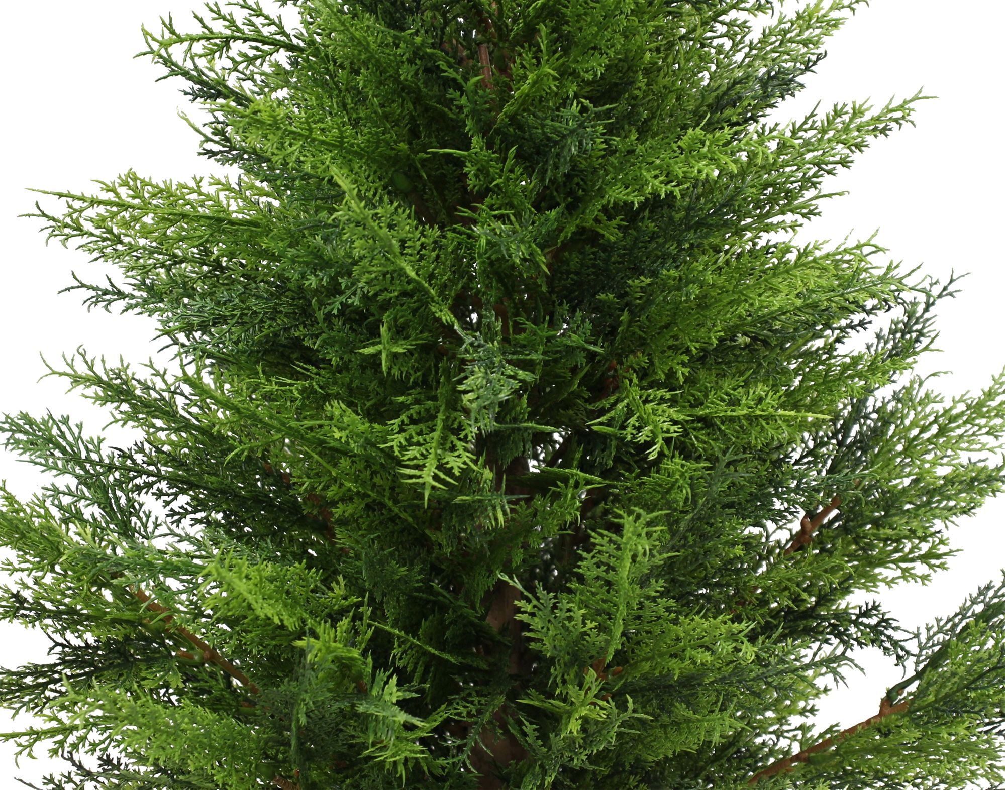 Acheter Plante artificielle "Conifère"  dans la boutique en ligne de Frank Flechtwaren pour Plantes artificielles