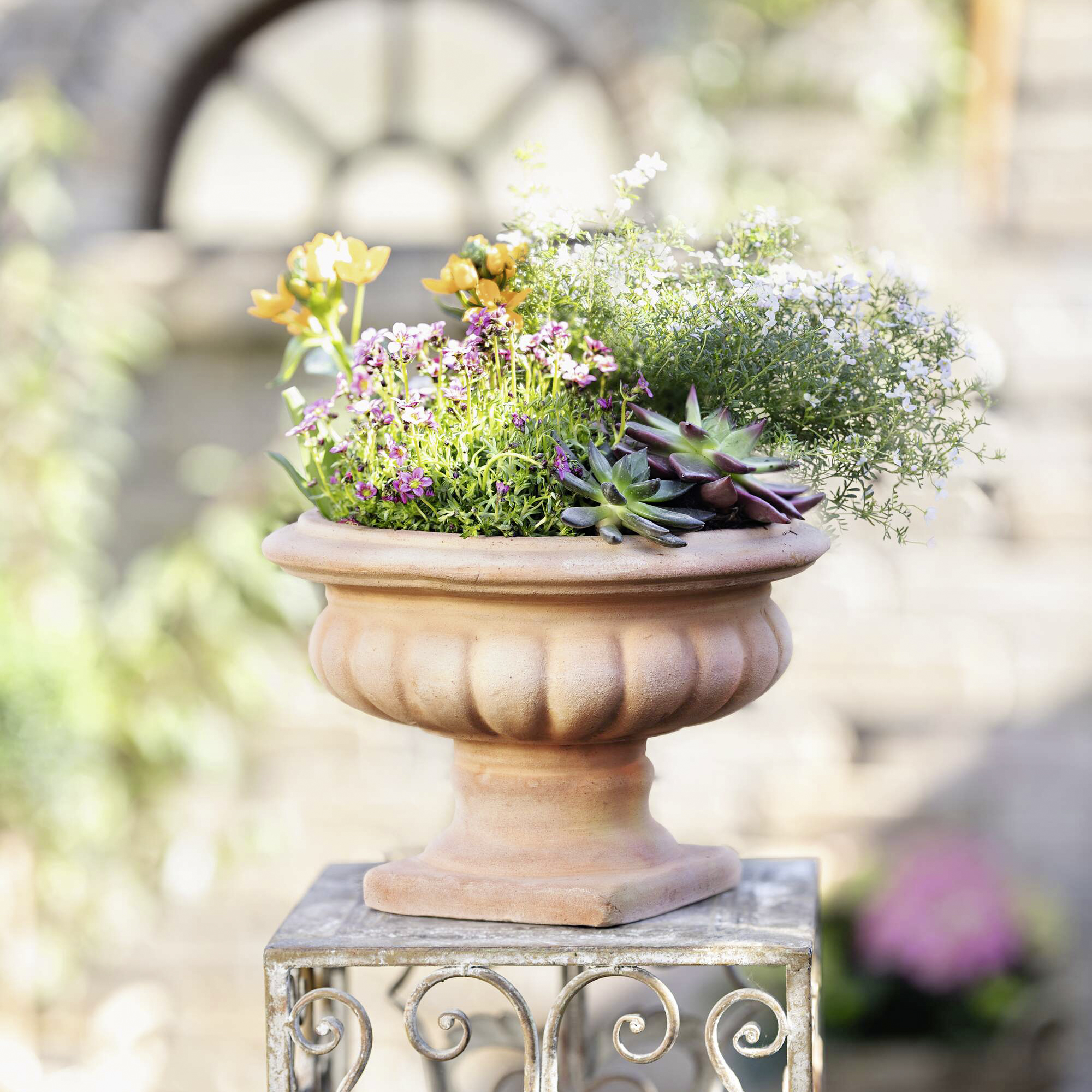 Acheter Jardinière "Ciotola" sur pied  dans la boutique en ligne de Frank Flechtwaren