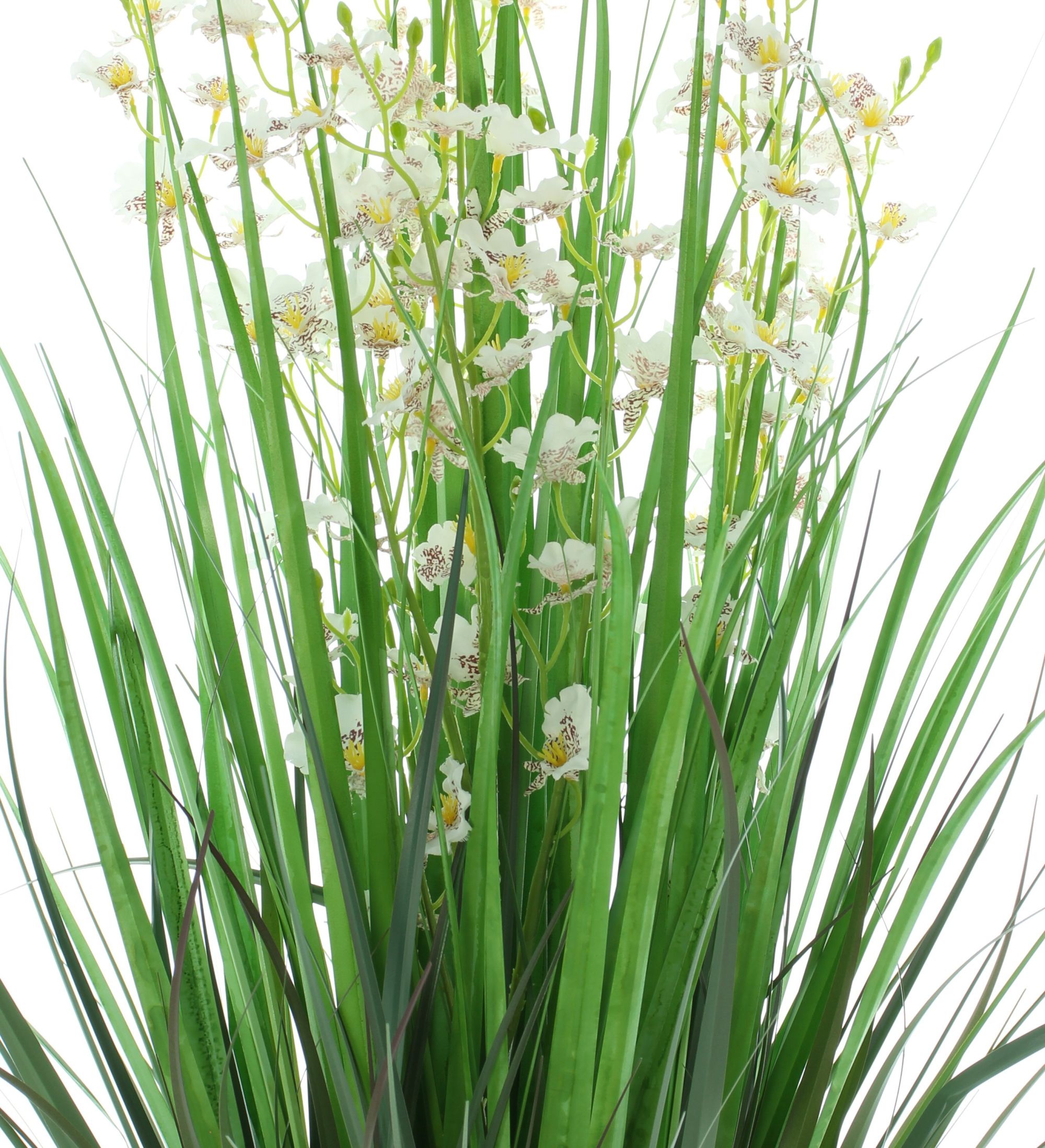 Acheter Plante en pot "Dancing Orchid"  dans la boutique en ligne de Frank Flechtwaren pour Plantes artificielles