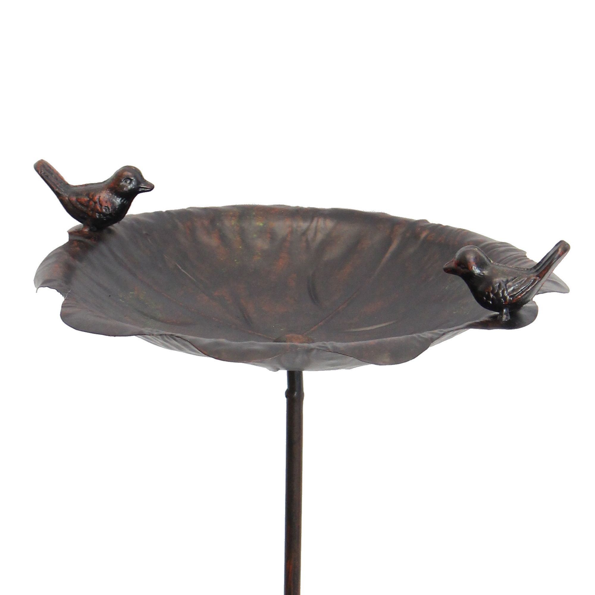 Acheter Abreuvoir à oiseaux "rouille"  dans la boutique en ligne de Frank Flechtwaren pour Automne