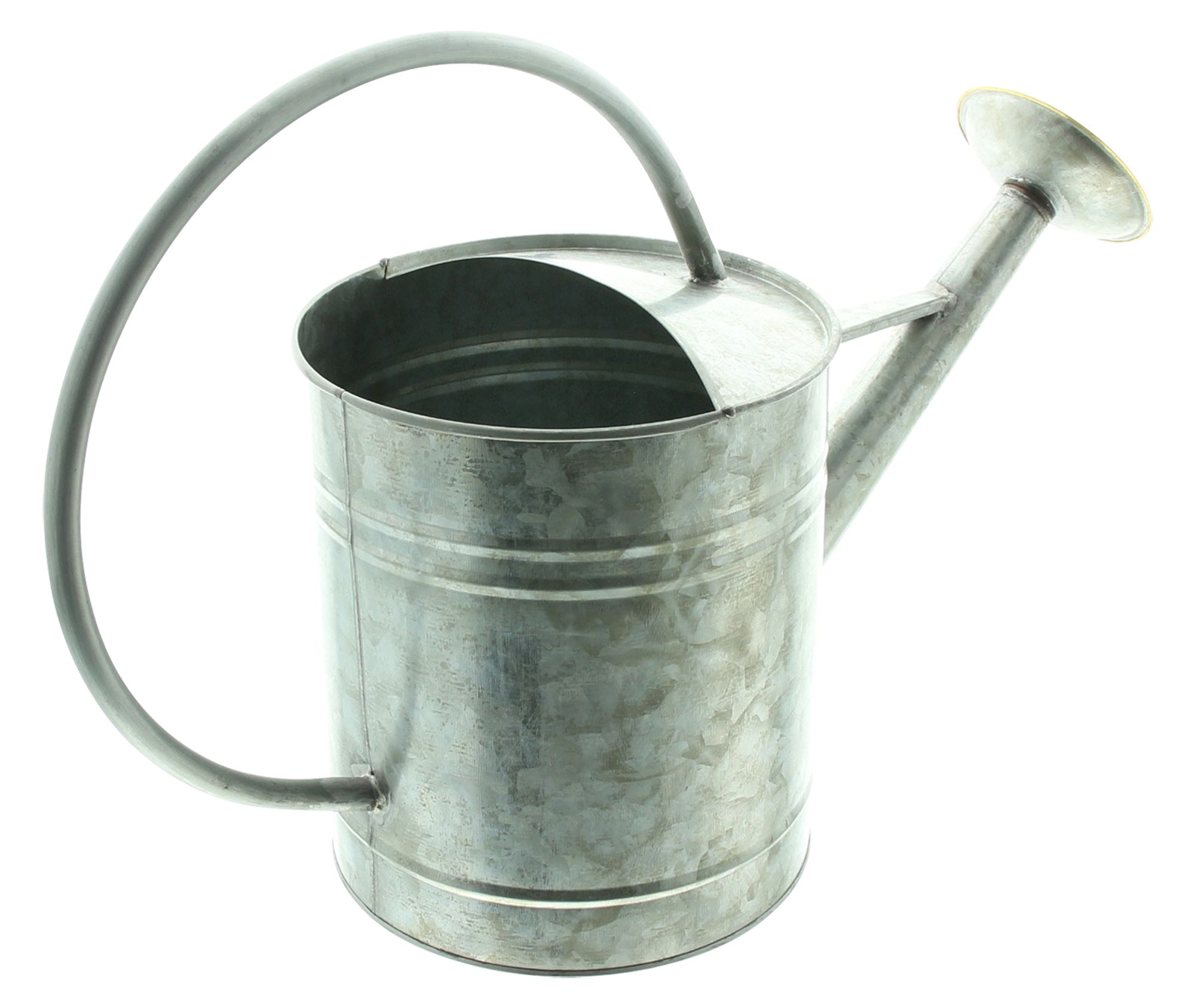 Acheter Arrosoir décoratif "Silver"  dans la boutique en ligne de Frank Flechtwaren pour Décorations de jardin