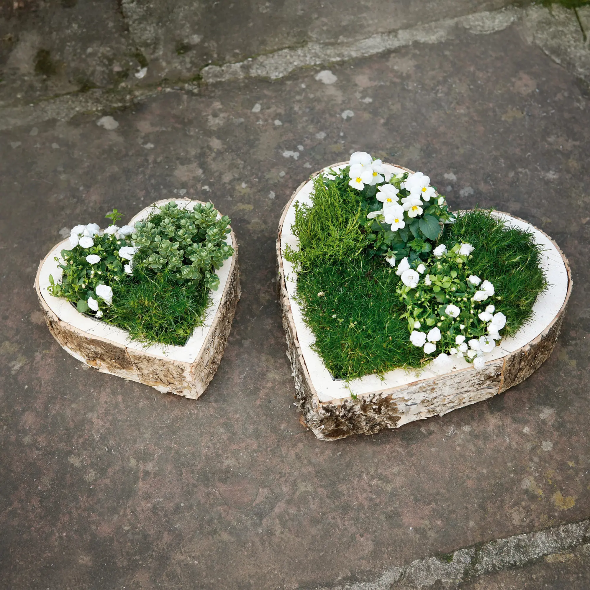 Acheter Lot de 2 jardinières cœurs "bouleau"  dans la boutique en ligne de Frank Flechtwaren