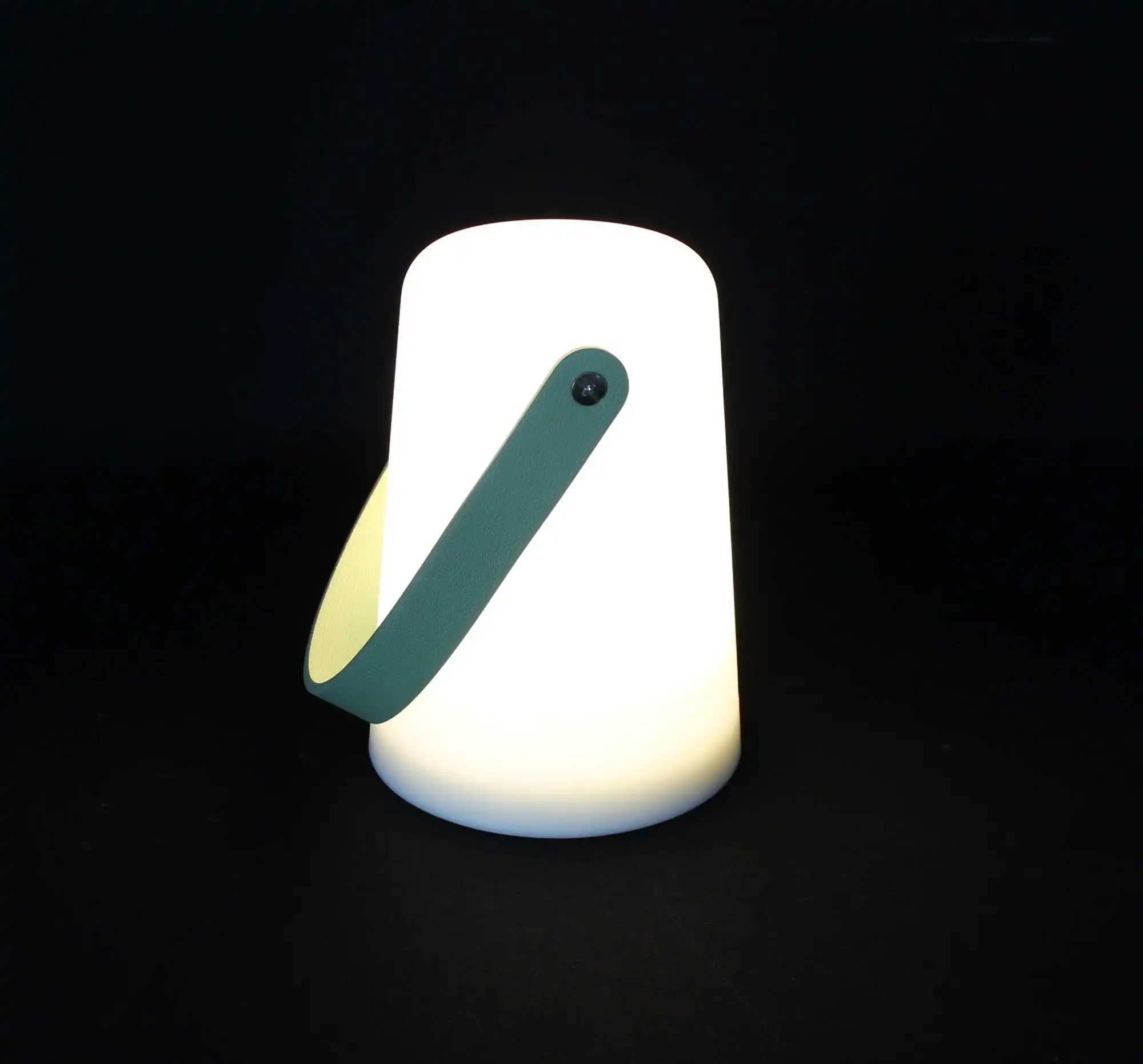Acheter Lampe LED "Green Handle"  dans la boutique en ligne de Frank Flechtwaren pour Luminaires de jardin
