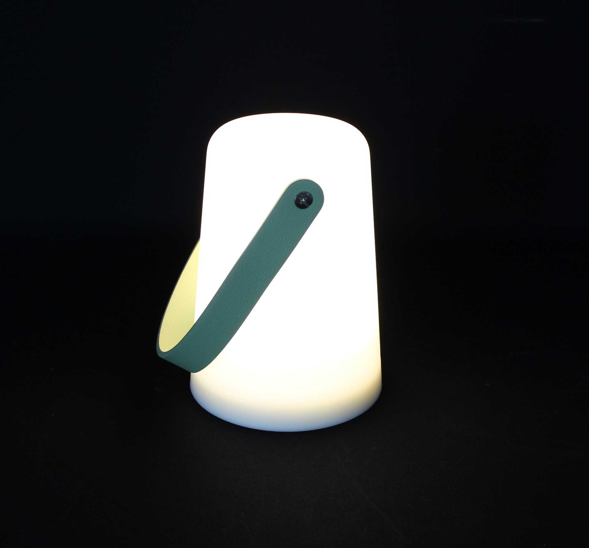 Acheter Lampe LED "Green Handle"  dans la boutique en ligne de Frank Flechtwaren pour Luminaires de jardin