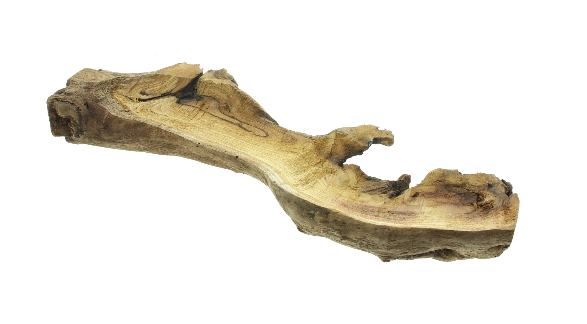 Acheter Racine décorative "Rustic Art"  dans la boutique en ligne de Frank Flechtwaren pour Nouvel arrivage