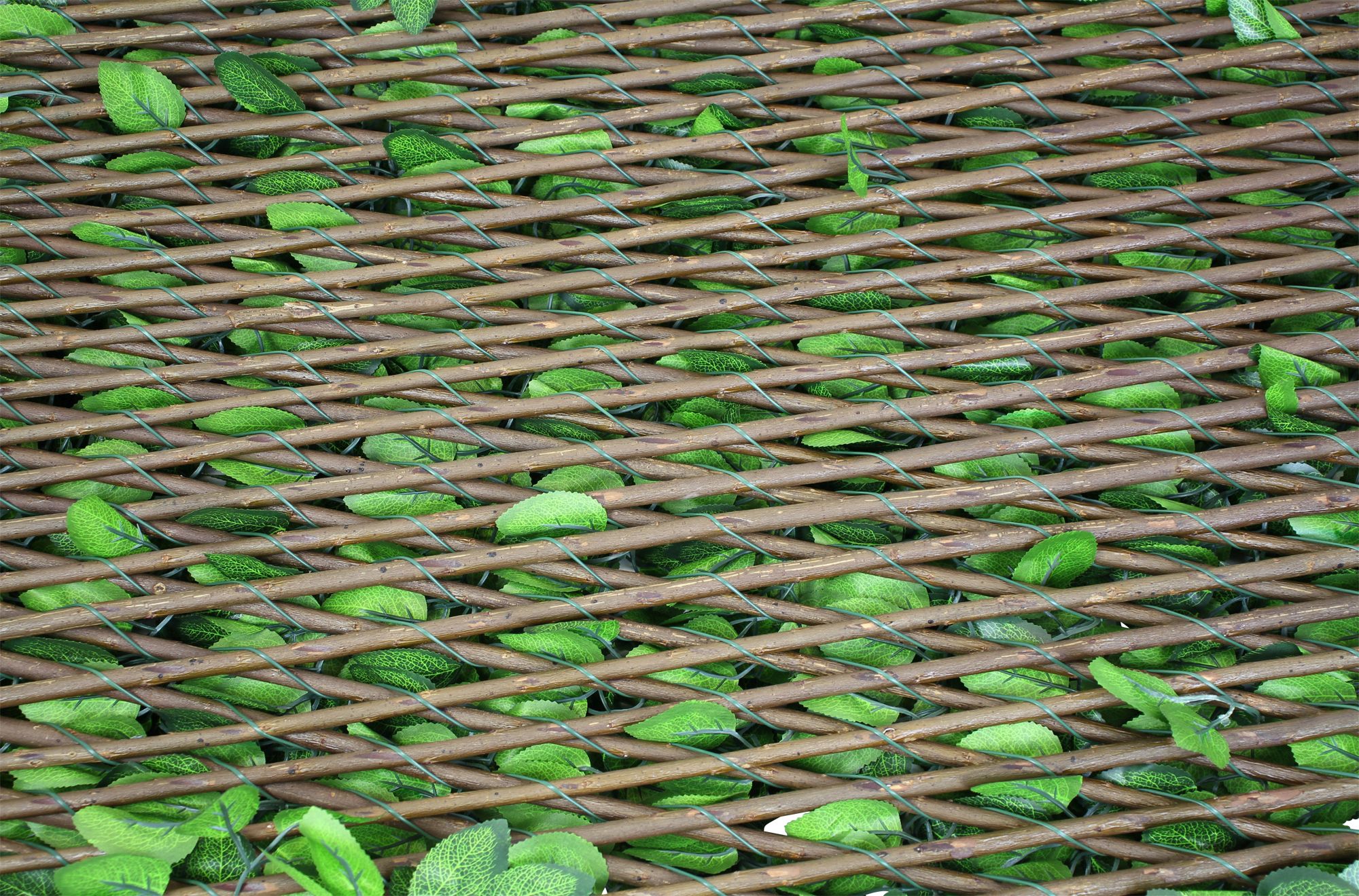 Acheter Brise-vue "toujours vert"  dans la boutique en ligne de Frank Flechtwaren pour Bordures &amp; clôtures