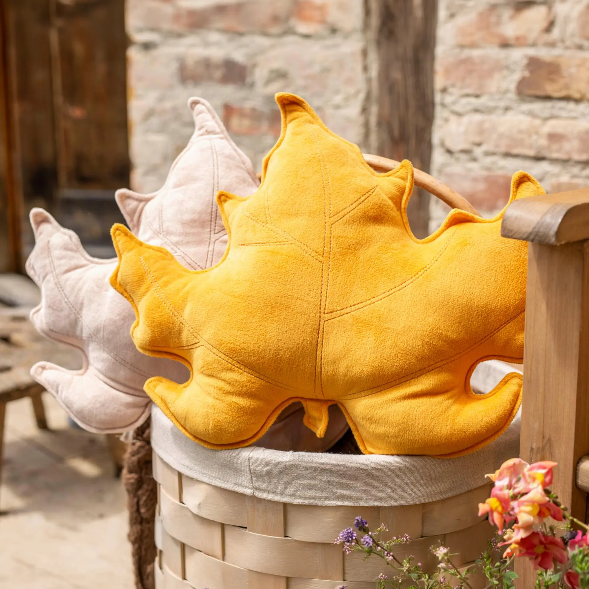 Acheter Coussins décoratifs « Ahorn », lot de 2 dans la boutique en ligne de Frank Flechtwaren