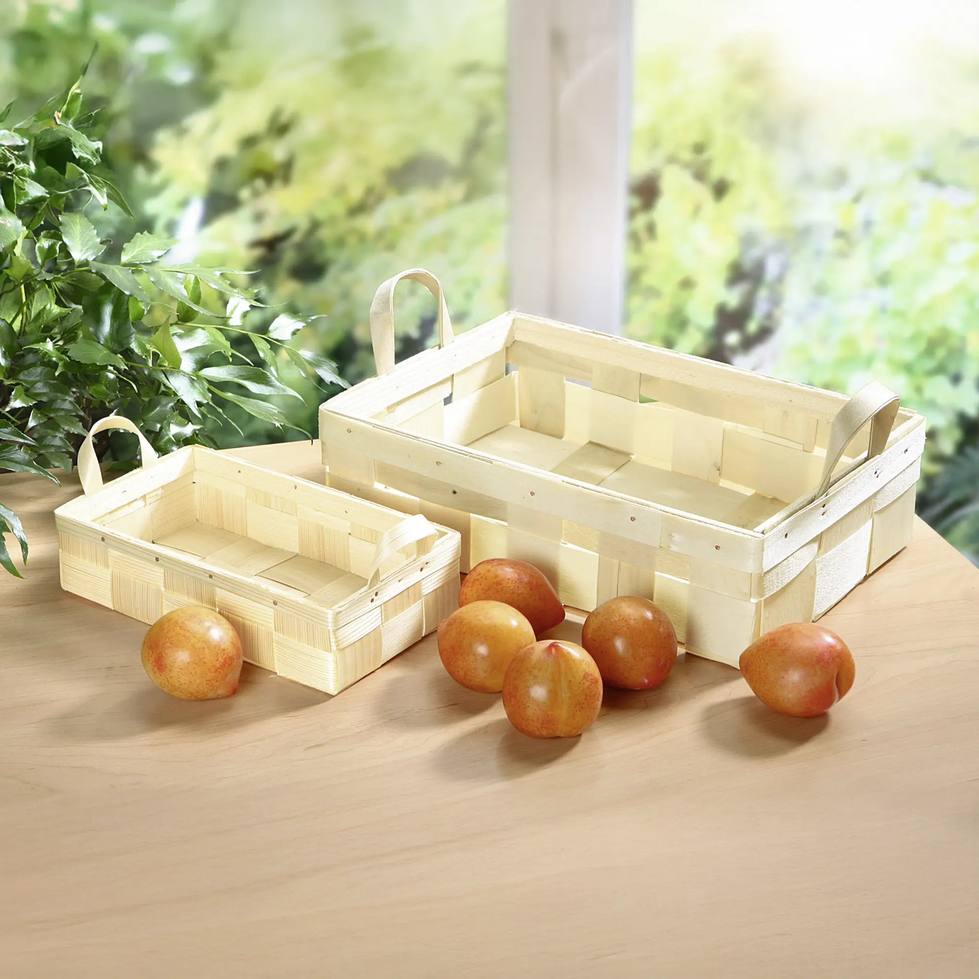 Acheter Contenant "copeaux"  dans la boutique en ligne de Frank Flechtwaren