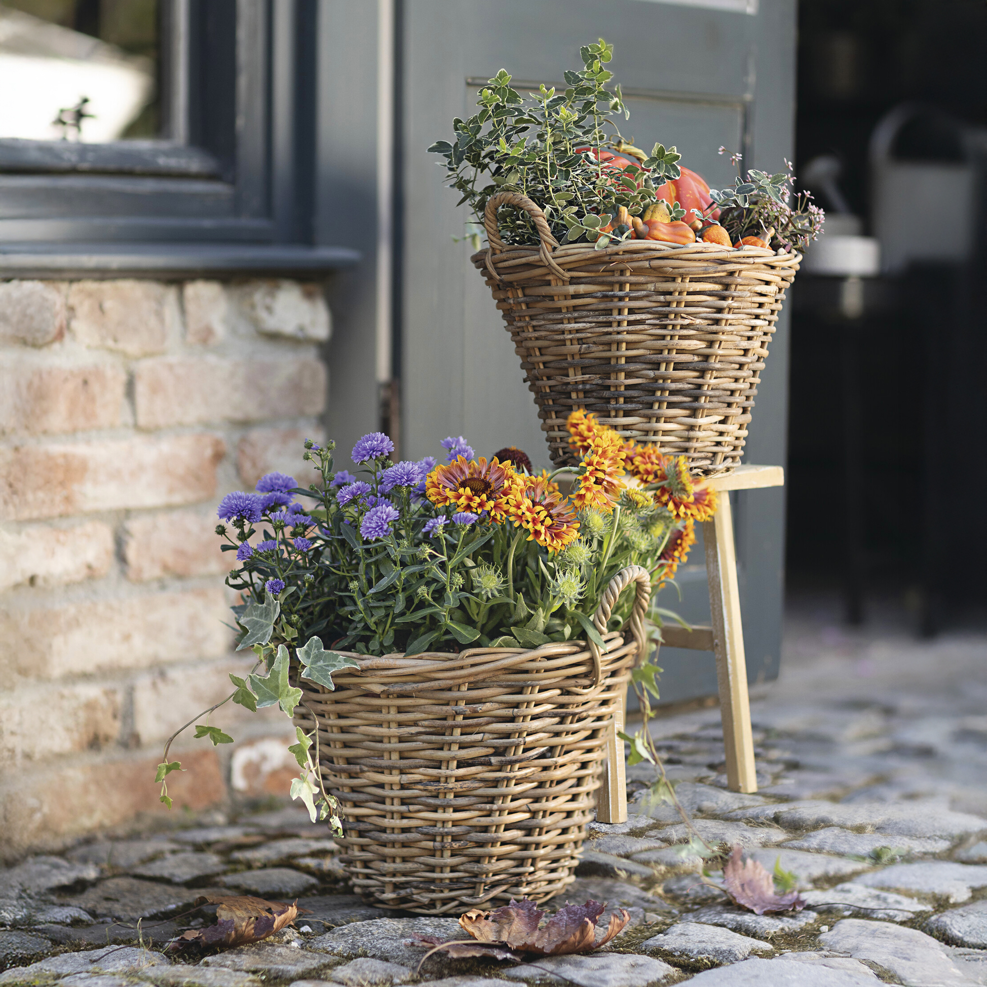 Acheter Corbeille à plantes "rotin fendu"  dans la boutique en ligne de Frank Flechtwaren