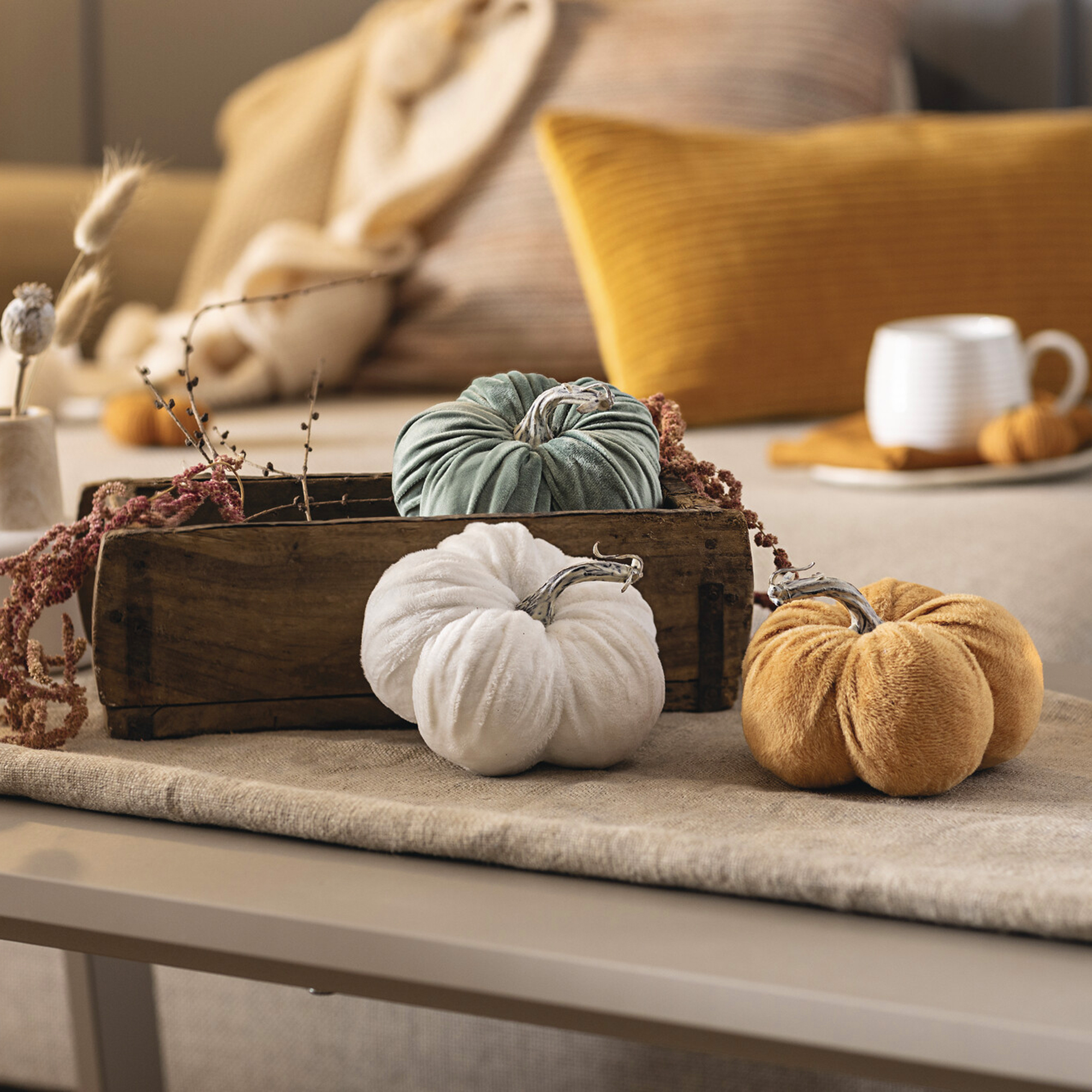 Acheter Décoration automnale"citrouille velours", 3pcs  dans la boutique en ligne de Frank Flechtwaren pour Citrouilles