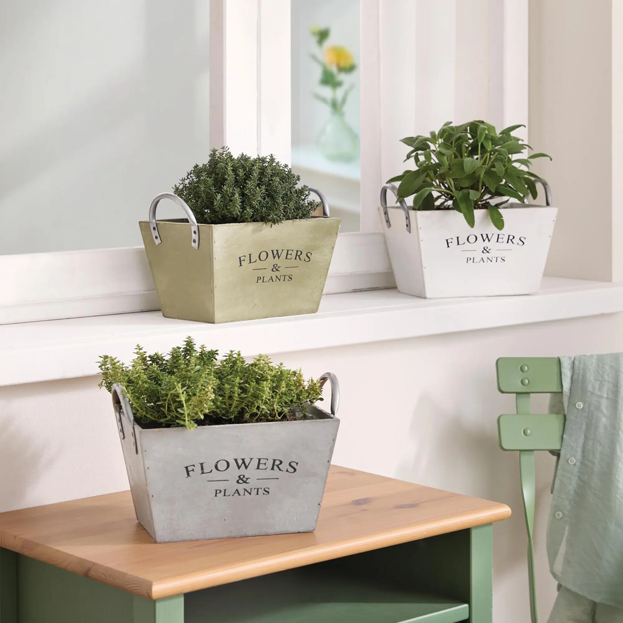 Acheter Lot de 3 jardinières "Flowers &amp; Plants"  dans la boutique en ligne de Frank Flechtwaren