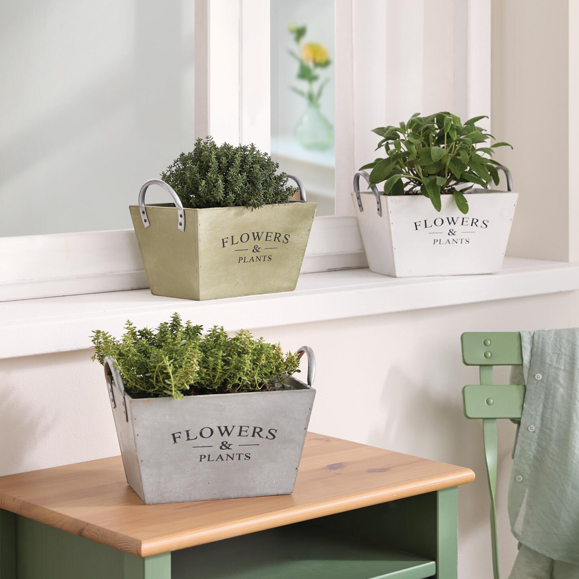 Acheter Lot de 3 jardinières "Flowers &amp; Plants"  dans la boutique en ligne de Frank Flechtwaren pour Pots de fleurs