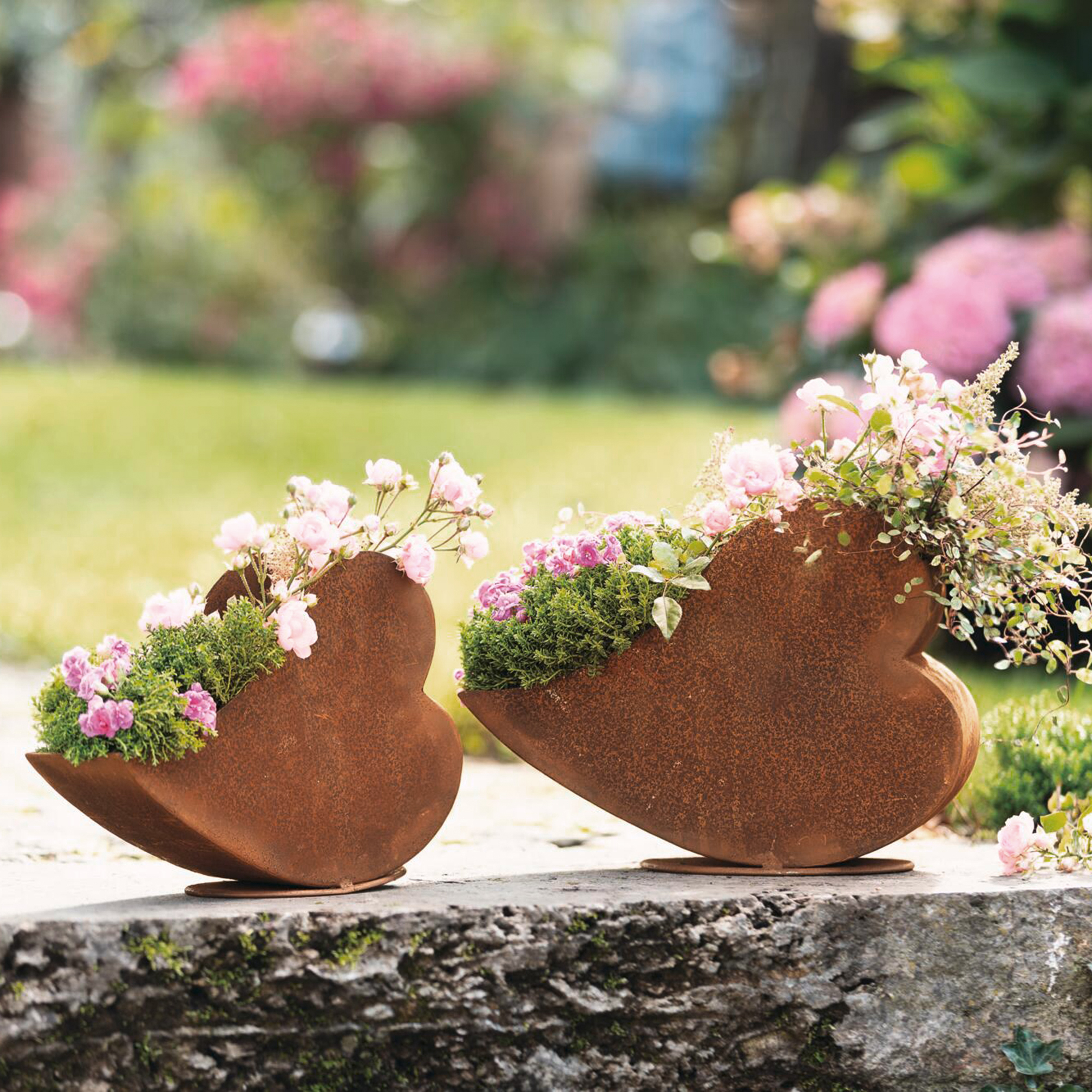 Acheter Lot de 2 jardinières "coeurs"  dans la boutique en ligne de Frank Flechtwaren