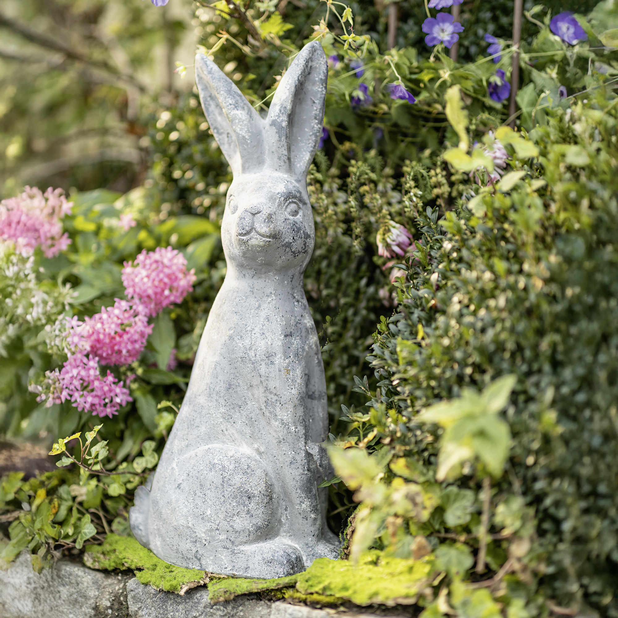 Acheter Lapin "pierre", grand  dans la boutique en ligne de Frank Flechtwaren