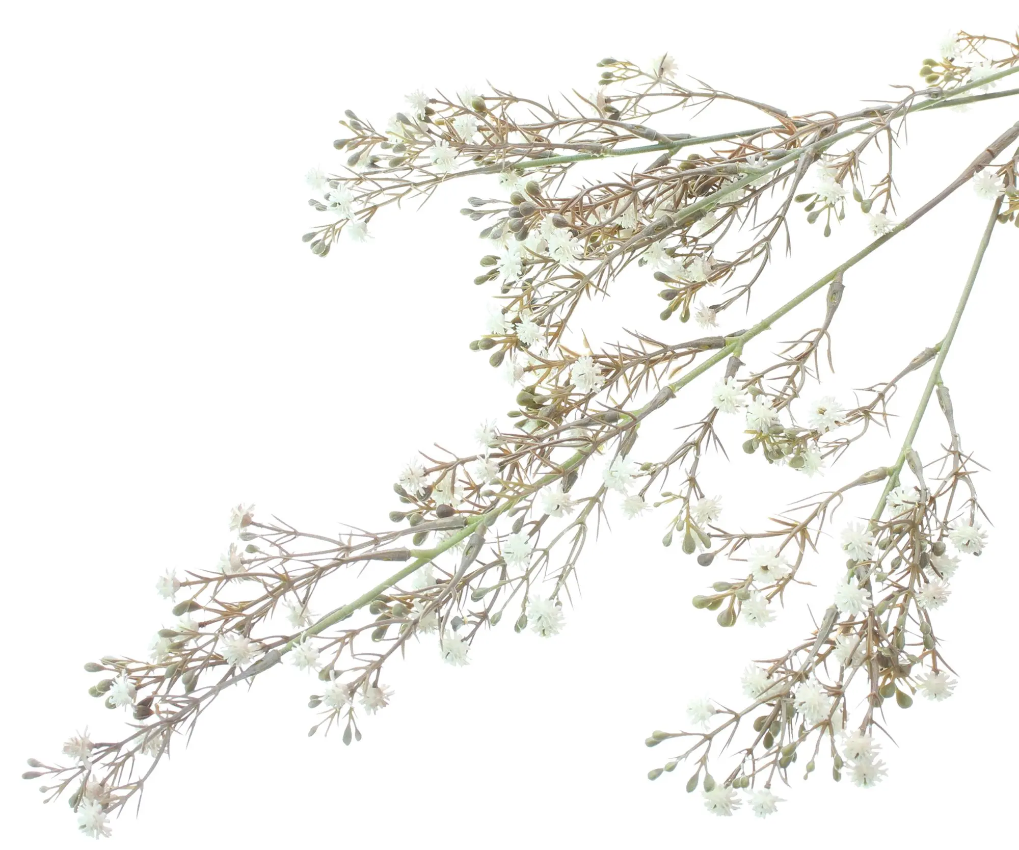 Acheter Lot de 2 plantes artificielles "Gypsophile" dans la boutique en ligne de Frank Flechtwaren pour Plantes artificielles Acheter Lot de 2 plantes artificielles "Gypsophile" dans la boutique en ligne de Frank Flechtwaren pour Plantes artificielles